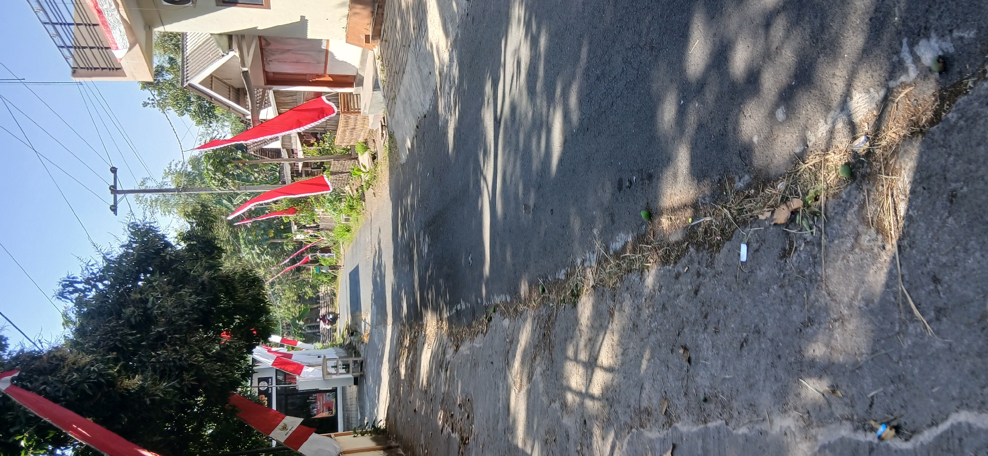 The image depicts a street scene in Pejaten, Indonesia, likely during a celebration given the prominent display of red and white Indonesian flags. The road is paved and appears to be a residential or semi-commercial area. On the left side of the street, there is a building with some signs, and red and white flags are hung from trees and poles. Further down the road, on the right side, a house with a tiled roof and a balcony is visible, also adorned with red and white flags. The street is lined with trees and vegetation. There are a few individuals visible: one person riding a motorcycle in the middle distance, and another person walking on the right side of the road carrying something on their head. The ground of the road shows some scattered dry leaves, grass, and a few small green objects that might be fallen fruit. Sunlight casts shadows across the road and the pavement on the left. The sky is clear and blue, indicating fair weather.