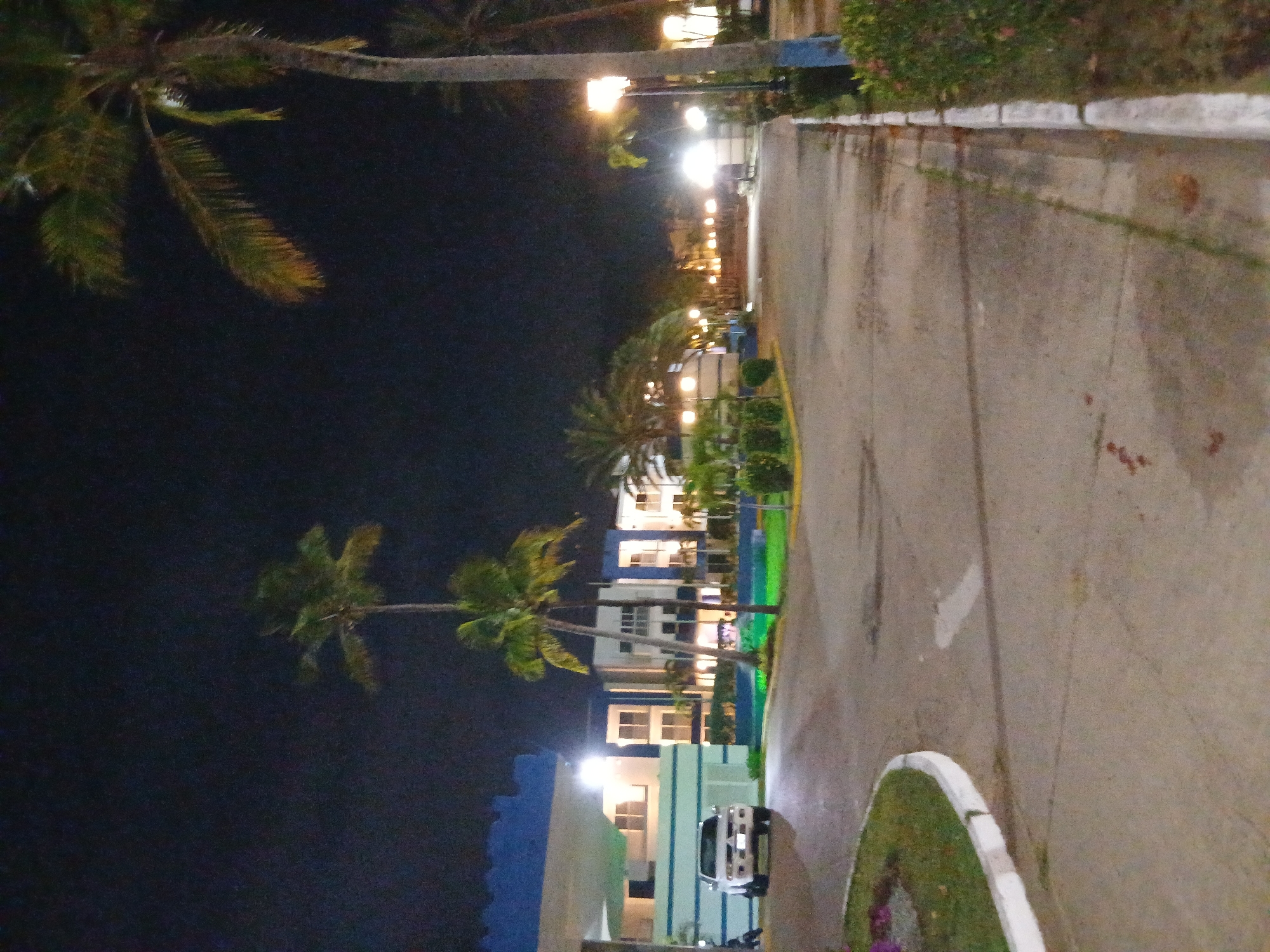 The image captures a nighttime scene in Playa El Agua, Venezuela, showing a paved roadway or pathway lined with palm trees and buildings. The time of day is clearly night, with the sky appearing dark and numerous artificial lights illuminating the area.
In the foreground and extending towards the mid-ground on the left side, several tall palm trees with visible fronds stand against the dark sky. Their leaves are partially lit, showing shades of green and brown. Along the right side of the image, a wide, light-colored paved surface, possibly a road or driveway, stretches from the bottom towards the top of the frame. This pathway is bordered by a white curb and areas of green grass and shrubs.
Along the left side of the pathway, several multi-story buildings are visible. These structures feature light-colored facades, some with distinct blue accents. Lights are on within many of the building windows, casting a warm glow. Numerous streetlights, some quite bright, are positioned along the pathway, creating pools of light and long shadows.
A white car, possibly an SUV, is parked on the left side of the pathway in the mid-ground, facing away from the viewer, in front of one of the buildings. The overall impression is that of a quiet, well-lit resort or residential complex in a tropical setting. No people are visible, and there is no discernible activity taking place beyond the stationary scene. No text is visible in the image.
