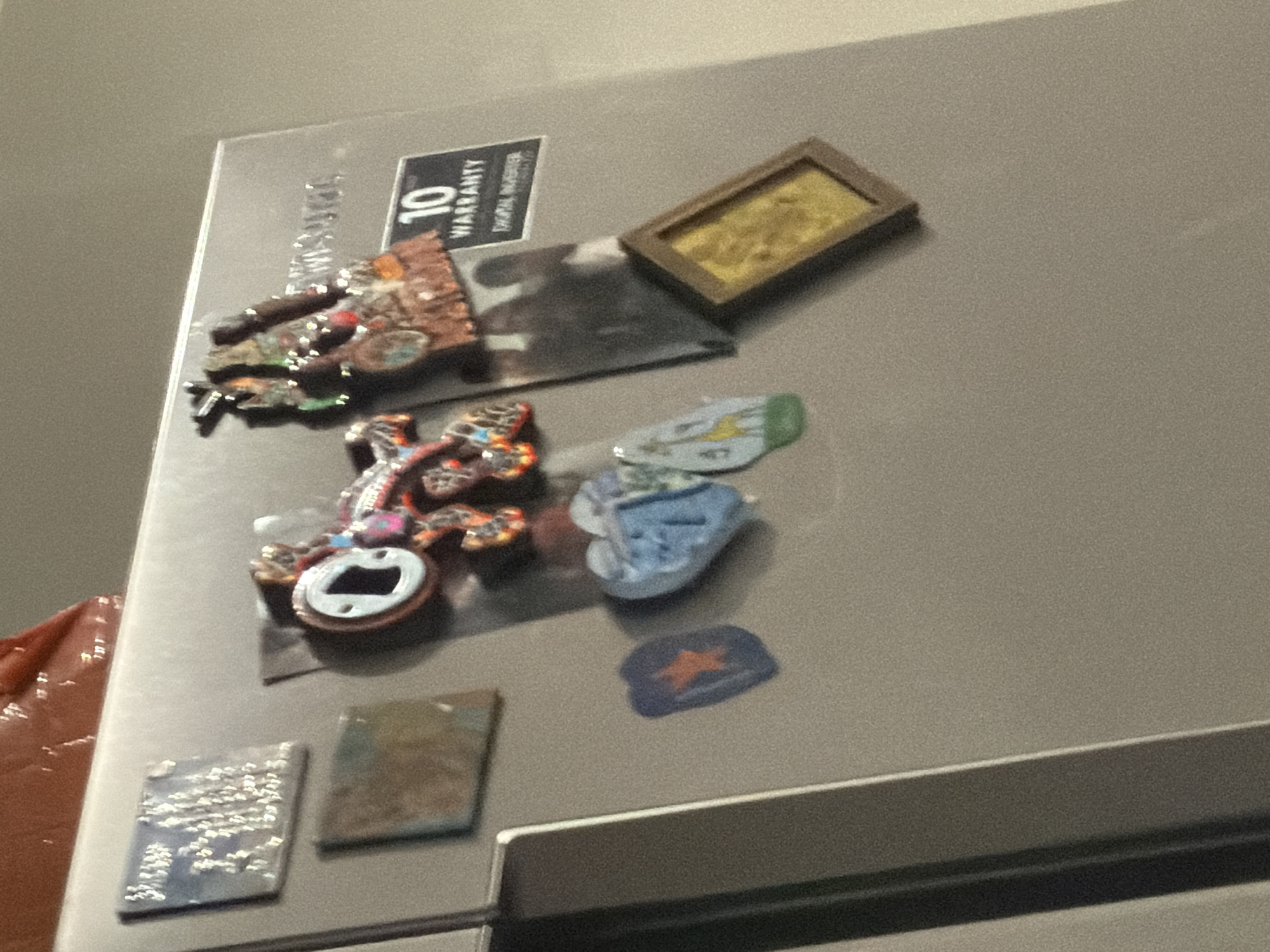 The image shows a refrigerator door with several magnets attached. The magnets are of various shapes and sizes, including a decorative image, what appears to be a bottle opener, a framed picture, and several smaller decorative magnets. The door is a light gray color and has a handle at the bottom. A warranty sticker is also visible. No people, actions, or interactions are depicted. There is no evidence to identify the image's location within Strasbourg, France.