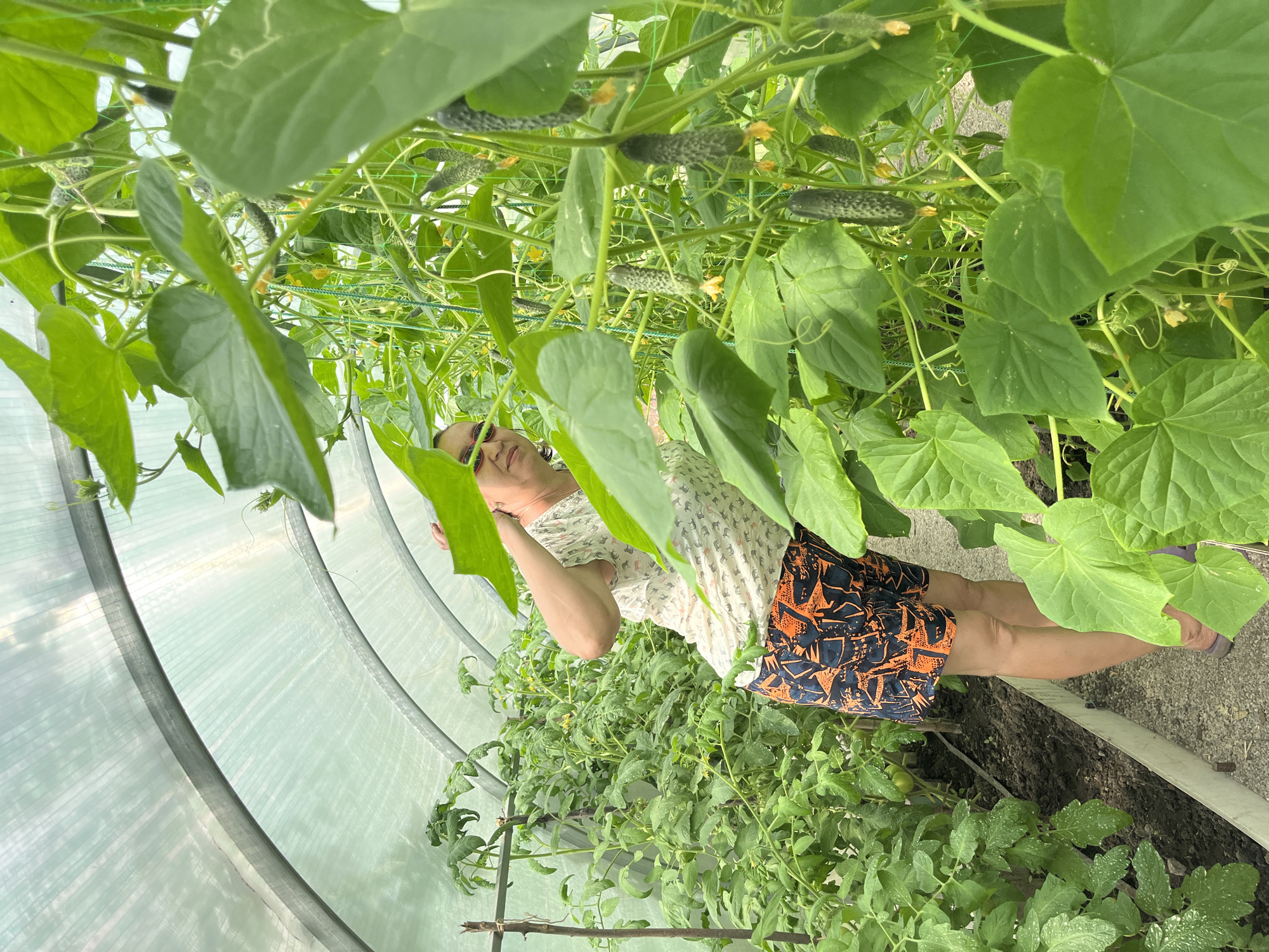 A woman with short brown hair, wearing sunglasses, a white t-shirt with a repeating pattern of small animals, and patterned orange and black shorts, stands in a greenhouse. She is in a semi-crouched position, with her right arm raised to touch her head, and her left arm extended forward as if tending to plants. The greenhouse has a translucent, arched roof and is filled with lush green plants, including tomato plants to the left and cucumber plants to the right, many of which are bearing fruit. The ground is covered with dark soil and gravel. The woman is looking towards the camera.