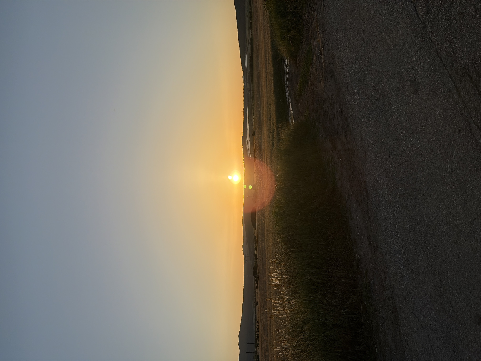 This media file captures a rural Bulgarian landscape at sunset. The primary subjects are the vast, open fields and the road that traverses them, with a low line of hills in the distance. The scene is bathed in the warm, golden light of the setting sun, which is positioned low on the horizon and creates a lens flare. Tall grasses and dry vegetation populate the fields, suggesting a rural or agricultural setting. A narrow strip of water, possibly a ditch or irrigation channel, runs parallel to the road in some areas. The road itself appears to be asphalt and shows signs of wear. The overall impression is one of tranquility and the end of a day in the countryside. The time of day is clearly sunset due to the low angle of the sun and the warm hues of the sky. The weather appears clear. There is no visible text in the image.