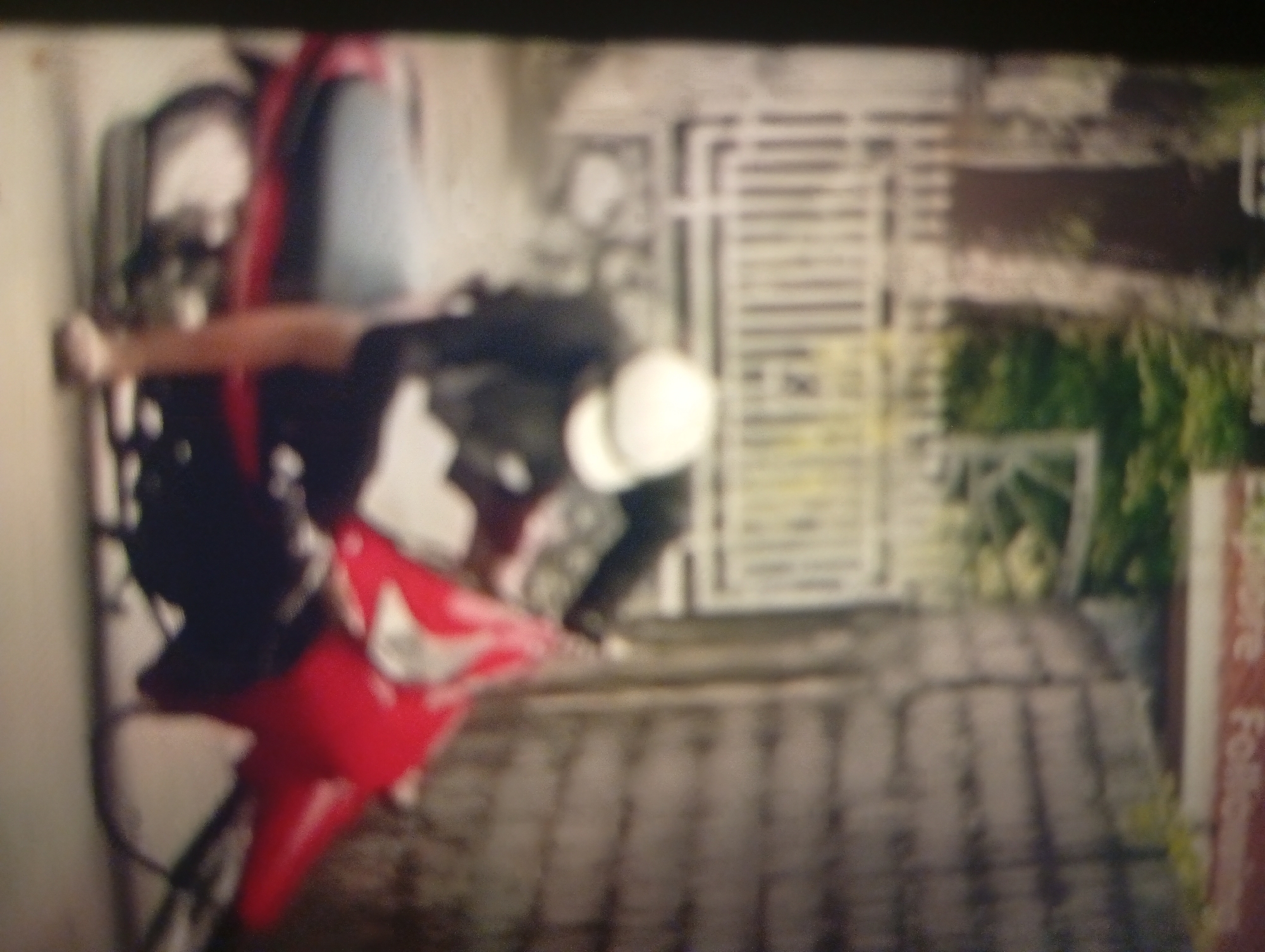 Memory