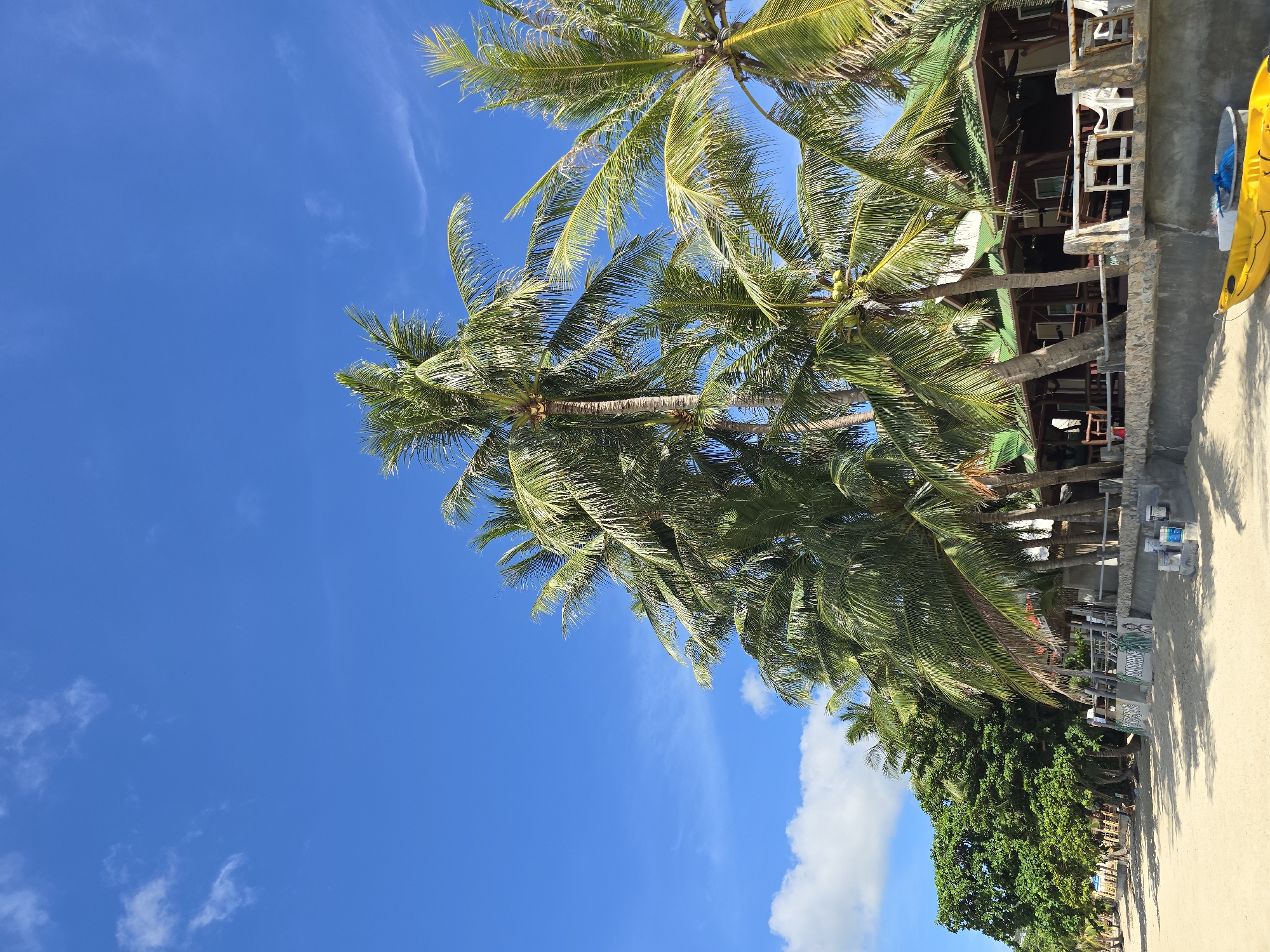 A bright, sunny day at a tropical beach is depicted in this vertical, medium-shot image. The sky is a vibrant blue, with a few wispy white clouds scattered across it. The foreground is dominated by the sandy beach and a row of palm trees. The palm trees are tall and slender, with lush green fronds that sway gently in the breeze. Some of the trees bear coconuts.
Behind the palm trees, there are several small, rustic buildings with green roofs. These structures appear to be beach huts or bungalows, possibly part of a resort or guesthouse. They are built with a combination of wood and stone. Some outdoor seating areas with tables and chairs are visible in front of the buildings. A low stone wall separates the buildings from the sandy area in front.
Further down the beach to the left, there are more trees, including a large, dense green tree. The sand appears clean and light-colored. In the bottom right corner of the image, a bright yellow kayak rests on the sand, along with a blue plastic bucket. The overall impression is one of a peaceful and idyllic beach destination.