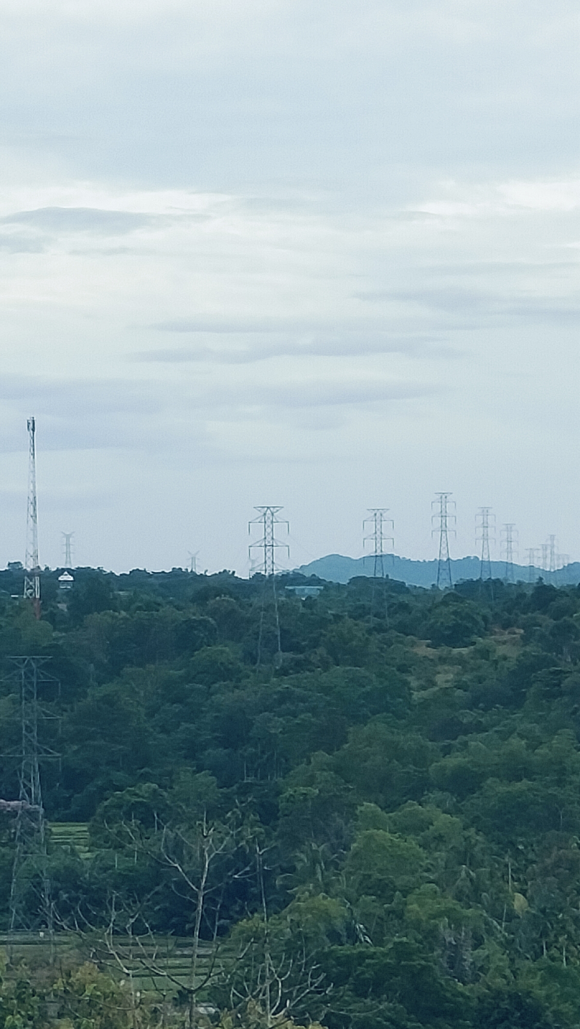 The image presents an expansive landscape in Lonbaroh, Indonesia, under an overcast sky. The scene is dominated by a vast expanse of lush, dense green trees covering undulating terrain from the foreground to the midground.
In the mid-distance on the left, a tall, slender communications tower stands prominently. Stretching across the landscape and receding into the background is a series of high-voltage electricity pylons, their distinct lattice structures marching over the tree-covered hills and becoming smaller with increasing distance. Faint outlines of distant mountains or hills are visible behind the closer foliage and pylons. Between the trees in the lower-middle left, glimpses of lighter green areas suggest agricultural fields, possibly rice paddies.
The sky is a soft, diffused light grey and pale blue, indicating an overcast day. There are no harsh shadows, suggesting a gentle, even illumination, consistent with daytime under heavy cloud cover. No specific activities or people are visible within the frame. There is no discernible text in the image. The environment conveys a blend of natural tropical beauty with human infrastructure for power and communication.