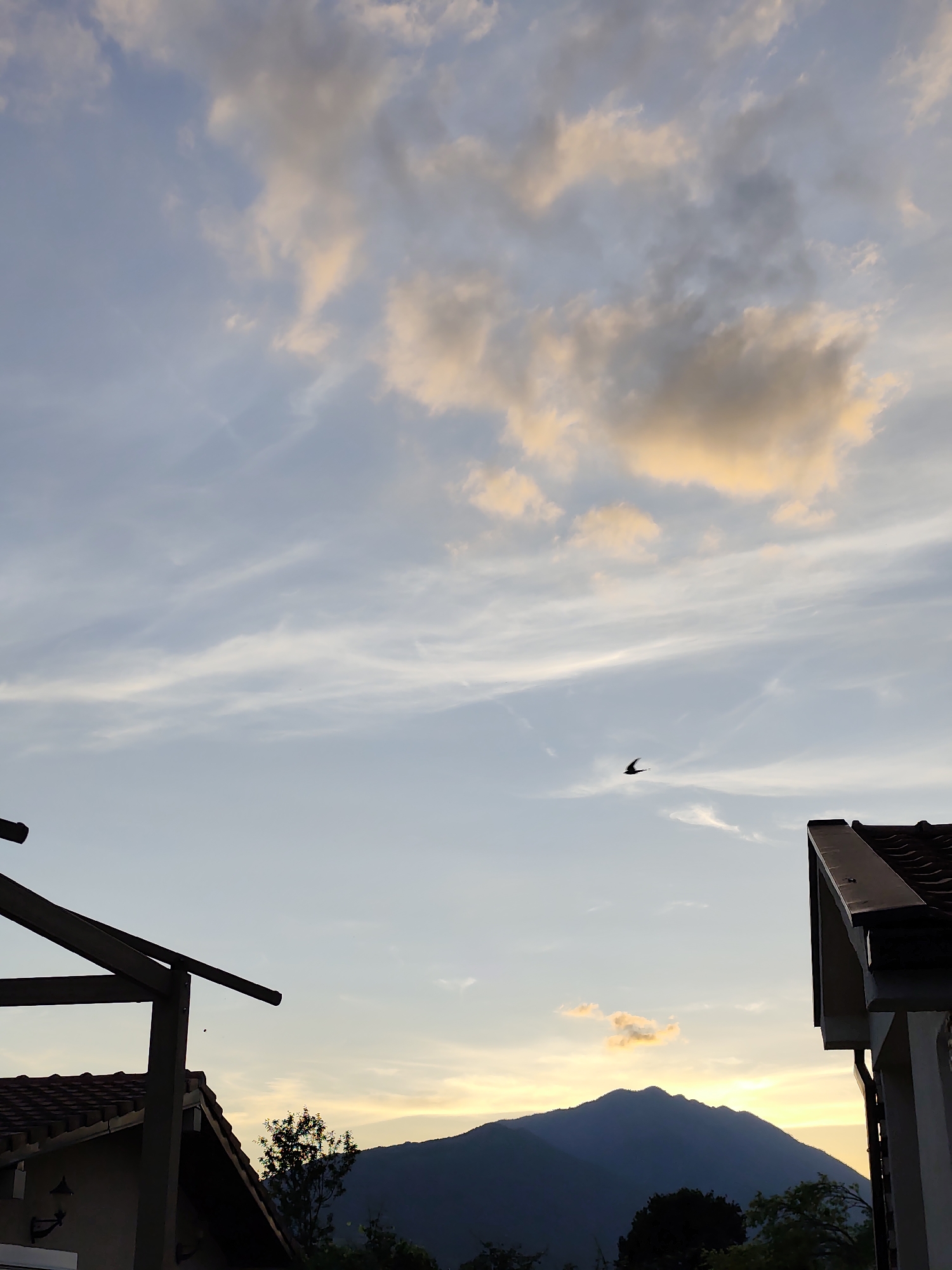 The image presents a serene sunset scene in Spuž, Montenegro, viewed from what appears to be a residential area. The sky occupies the majority of the frame, displaying a gradient of soft blue, adorned with wispy white and peachy-orange clouds that catch the warm light of the setting sun. A small, dark bird is captured in flight in the mid-right portion of the sky.
Along the horizon, a large, dark silhouette of a mountain range is prominent, with the sun's last rays casting a bright, golden glow just above its peak. In the foreground, parts of two residential buildings frame the bottom corners of the image. On the left, a house features a reddish-brown tiled roof and an attached wooden pergola structure, with a wall sconce visible on its facade. On the right, the edge of another house with a darker tiled roof and light-colored walls is partially seen. Silhouetted trees and bushes are visible at the mountain's base and around the buildings. The overall impression is one of peaceful evening twilight, with no visible text.