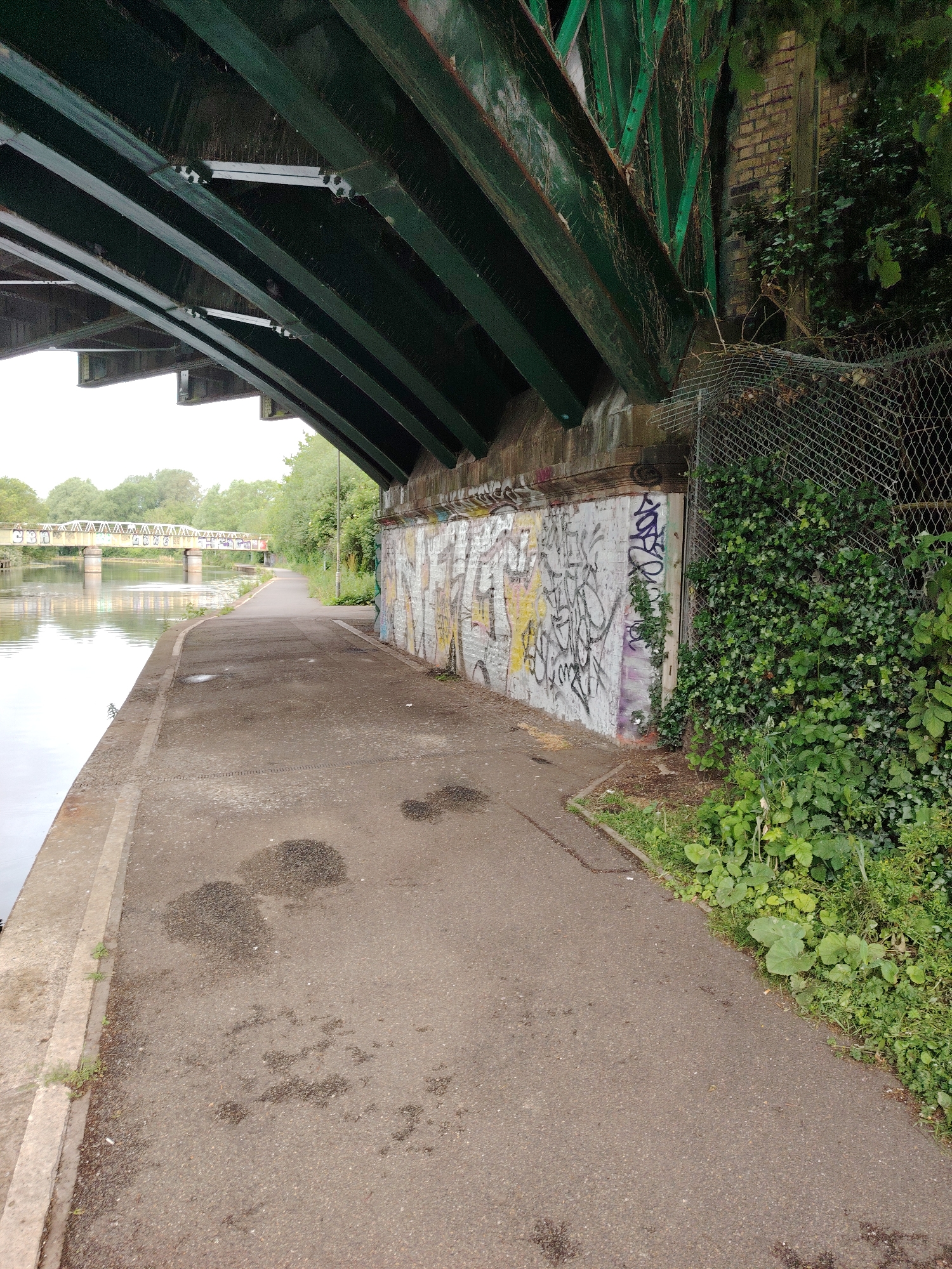The image depicts a paved footpath running alongside the River Nene in Peterborough, United Kingdom, specifically beneath the Nene Viaduct (also known as Fletton Viaduct). The perspective is looking east along the river.
In the upper portion of the frame, the underside of the Nene Viaduct, a large green-painted metal railway bridge, is prominent, displaying numerous parallel support girders and transverse bracing. To the immediate right, the bridge's concrete and brick abutment wall is visible, extensively covered in multi-colored graffiti tags and throw-ups. A recessed, door-like opening or structure is present within this wall, partially obscured by graffiti and dense ivy. A weathered chain-link fence, partially collapsed and entwined with ivy and other vegetation, runs along the top and descends alongside the wall on the right.
The central and left foreground is occupied by a dark asphalt footpath, which appears damp in places with irregular dark stains and coarser aggregate patches. A low concrete kerb separates the footpath from the river on the left. The River Nene is calm, reflecting the overcast sky above.
In the mid-ground, across the river, another lighter-colored bridge, consistent with the Town Bridge or a nearby pedestrian bridge, is visible, also marked with various graffiti. The riverbanks and the area beyond the distant bridge are densely populated with green trees and mixed vegetation. The sky is uniformly overcast. No individuals or animals are present in the scene.