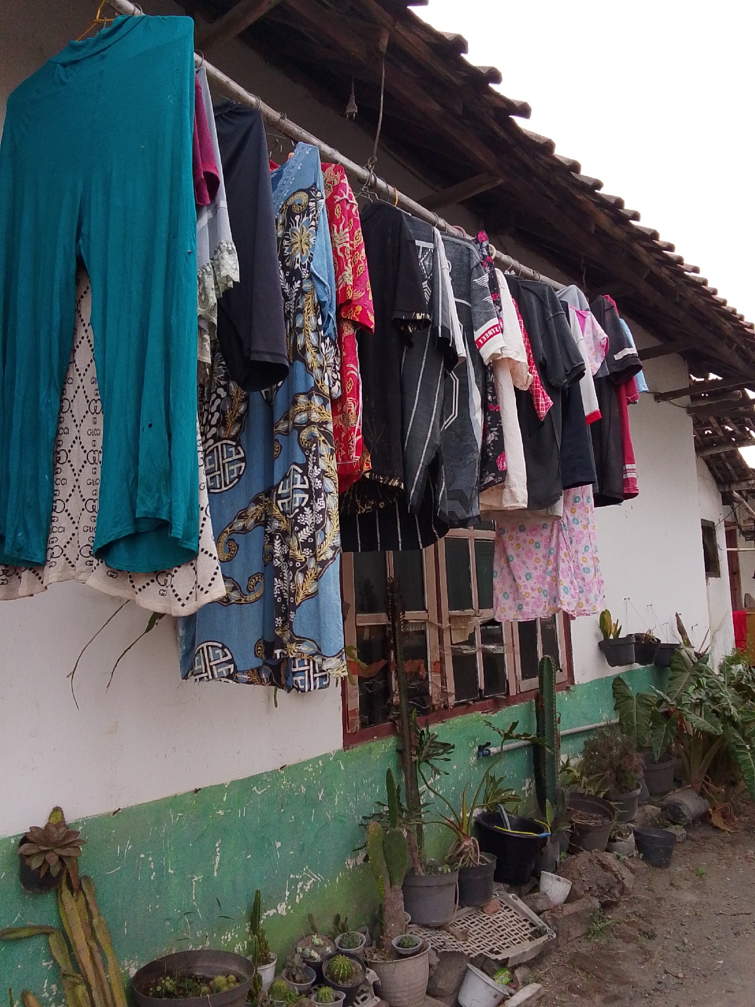 In Bulurejo, Indonesia, clothing hangs on a clothesline stretched across the exterior of a white building with a green-painted lower wall. The roof of the building has traditional terracotta tiles. Various items of clothing are visible, including a large teal garment, patterned fabrics, and several shirts in black, white, and red. Below the clothesline, a row of potted plants, primarily cacti and other succulents, are arranged on the ground and against the wall. Some of the pots are black plastic, while others appear to be terracotta or concrete. The ground is a mixture of dirt and gravel. Windows with wooden frames are visible on the building's exterior.