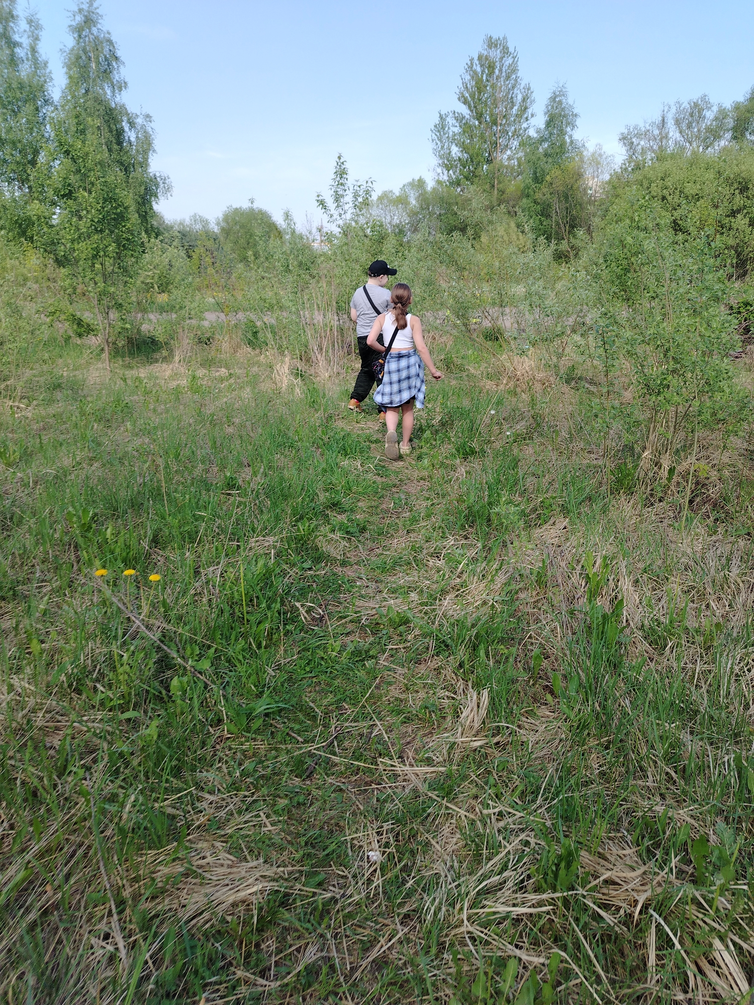 Memory