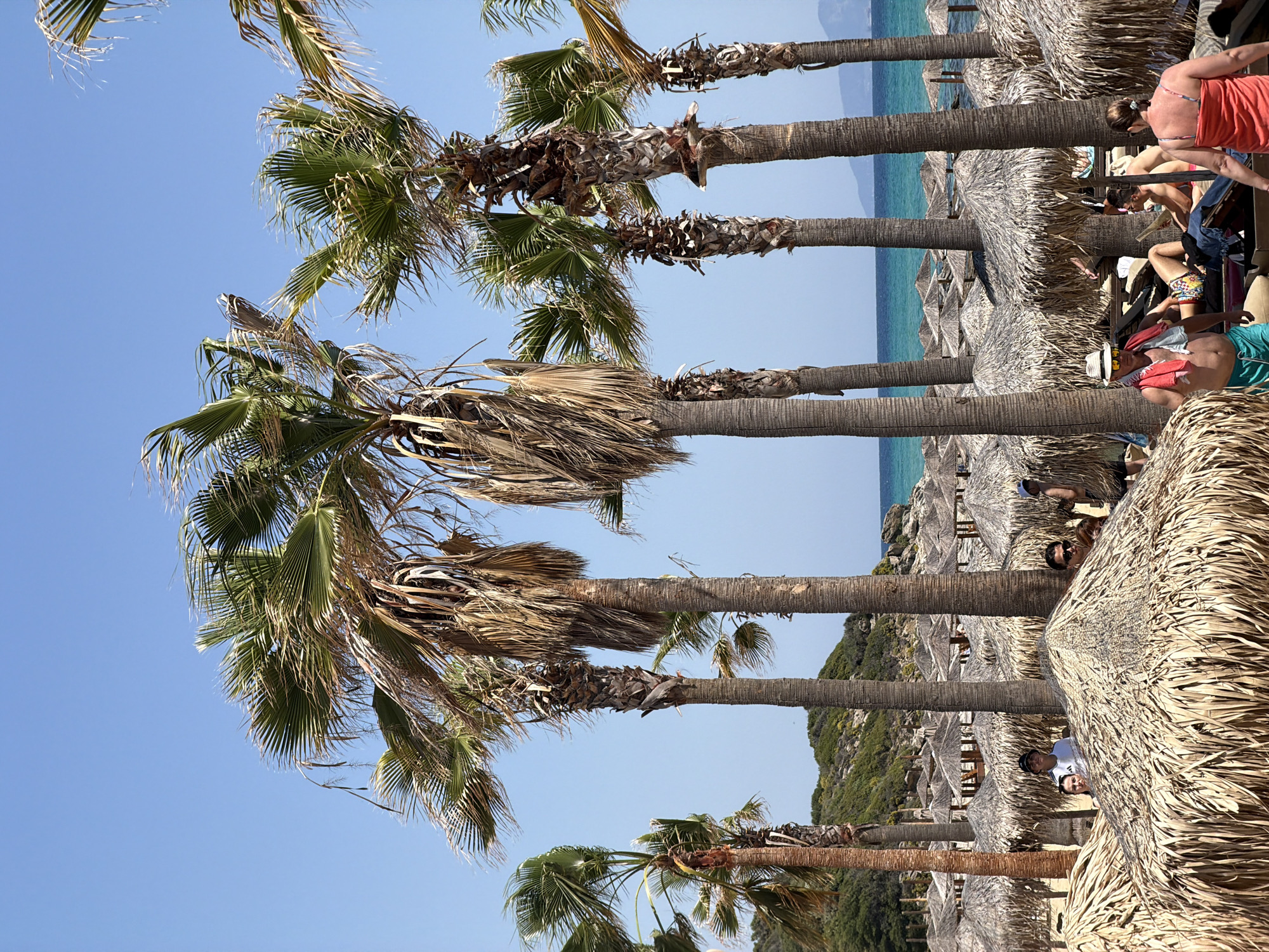 The image captures a beach scene in Nea Peramos, Greece. Several palm trees line the shore, their fronds swaying under a clear blue sky. Behind the trees, there are thatched umbrellas providing shade for beachgoers. People are seen relaxing on loungers beneath the umbrellas. In the background, the turquoise sea meets the horizon. The scene is a typical beach setting with elements of leisure, nature, and a relaxed environment.