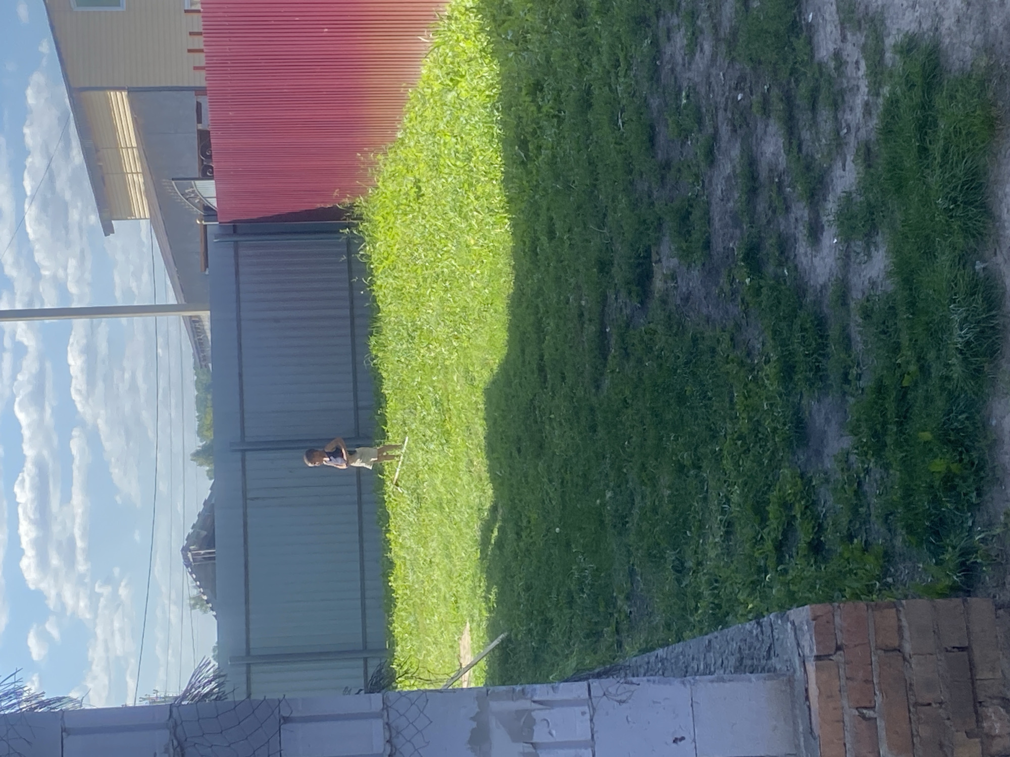 A young person stands in a grassy yard, holding a rake, in the city of Verkhnyy Karbush, Russia. The yard is bordered by a light grey corrugated metal fence on the left and a red corrugated metal fence on the right. Behind the grey fence, a building with a dark roof and visible construction materials is partially visible. The red fence is adjacent to a beige building. The sky is blue with scattered white clouds. The ground is covered in green grass with patches of dirt. In the foreground, to the left, is a partially constructed brick and concrete structure.