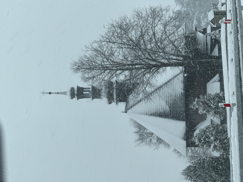 An exterior long shot captures the wooden Church of St. Anne in Rdzawka, Poland, during a snowfall. The church, constructed of dark material, features a multi-tiered steeple topped with a cross finial, all partially obscured by falling snow. Its steep, shingled roofs are heavily laden with accumulated snow. Bare deciduous trees, their branches outlined with snow, flank the church, while snow-covered evergreen shrubs are visible closer to the foreground. The sky is overcast and uniformly light gray. In the immediate foreground, a snow-covered metal guardrail runs horizontally across the frame, with two red and white reflective road markers protruding from the snow beside it. No individuals are present in the scene.