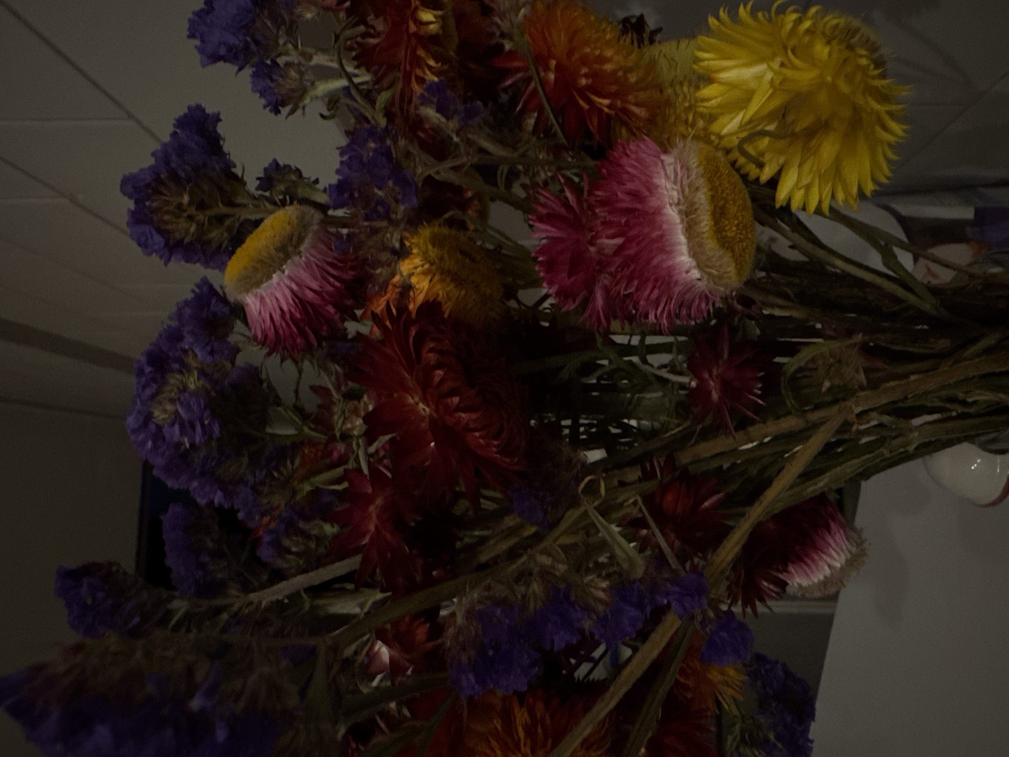 The image shows a close-up of a bouquet of dried flowers. The flowers are arranged tightly together, with various colors including purple, red, pink, orange, and yellow. The stems are visible and appear dry and brown. The background is out of focus. The location is Mexico City, Mexico, but no specific location in Mexico City is known.