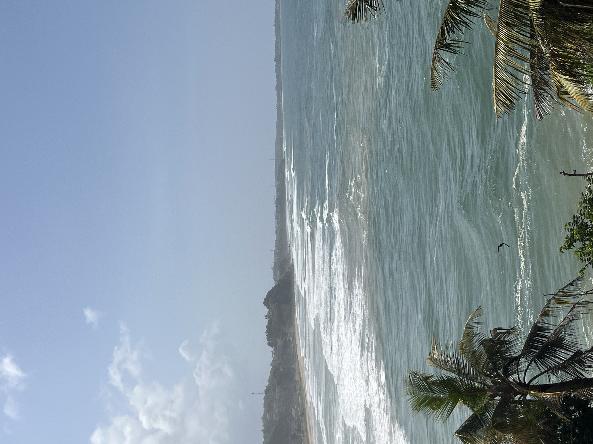The image depicts a coastal scene in Walgama, Sri Lanka. In the foreground, palm tree fronds partially obscure the view. The mid-ground features a wide expanse of the ocean with moderate waves breaking near the shore. The ocean's color transitions from a lighter turquoise near the beach to a deeper blue further out. Along the coastline, a sandy beach is visible, backed by a line of trees and vegetation. In the distance, buildings and structures, including what appears to be a tower or antenna, are scattered along the elevated terrain. The sky above is a pale blue with scattered white clouds. A bird is captured in flight over the water.