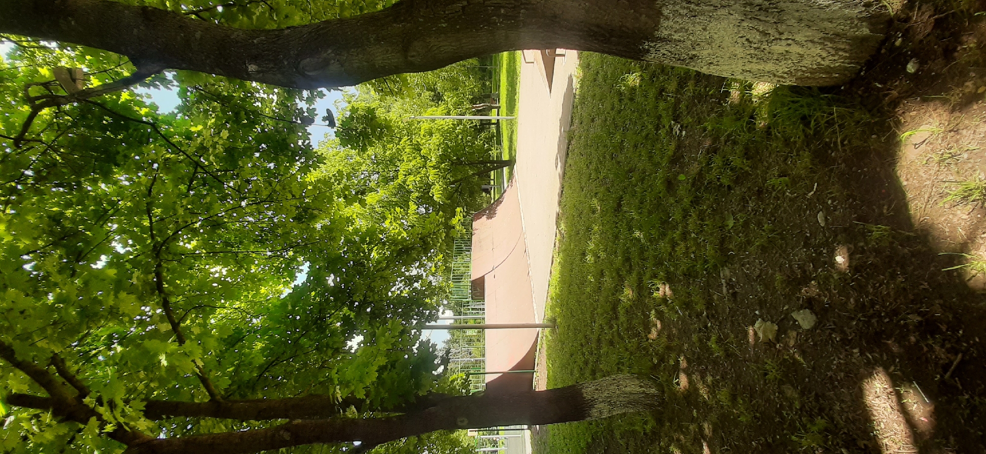 The image depicts a skatepark located in Yessentukskaya, Russia, surrounded by lush green trees and grass. The skatepark features a smooth, reddish-brown ramp with metal railings along its upper edge. The ground surrounding the ramp is paved with concrete. In the foreground, two large tree trunks with white-painted bases stand prominently, casting shadows on the grassy ground. The overall scene suggests a sunny day in a park setting, with the skatepark appearing to be in good condition and ready for use. There are no people visible in the image.