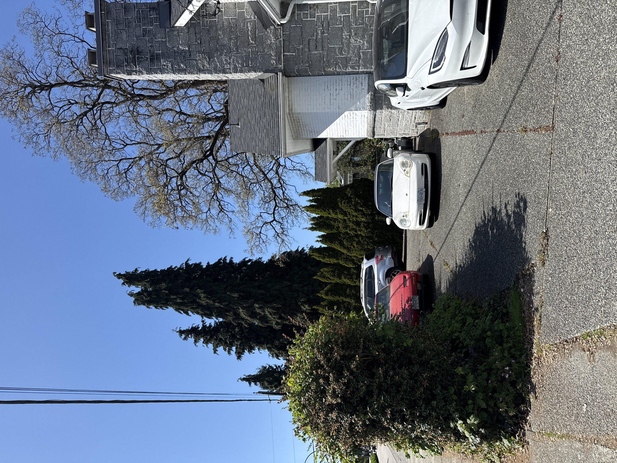 This image depicts a residential street scene in Vancouver, Canada, bathed in bright sunlight under a clear blue sky.
In the foreground and midground, several vehicles are parked along a paved asphalt surface. A white Porsche 996 generation convertible is prominently featured, facing away from the viewer, with a British Columbia license plate reading "700-AEN". Behind it, a white Tesla Model 3 is partially visible. Further down the street, a red older model sedan, possibly a Honda Civic, and a silver SUV are also parked next to dense green bushes and tall evergreen trees.
To the left, a large deciduous tree with intricate bare branches or very early spring foliage stands against the blue sky, partially obscuring a grey stone-faced building, likely a house. The house features a gray shingled roof and a white-painted brick wall below the stone section.
The lighting suggests it is daytime, possibly morning or late afternoon, as indicated by the long shadows cast by the vehicles and trees onto the asphalt and concrete sidewalk. Power lines are visible stretching across the upper left portion of the sky. The overall impression is a quiet, sunny day in a suburban or urban neighborhood.