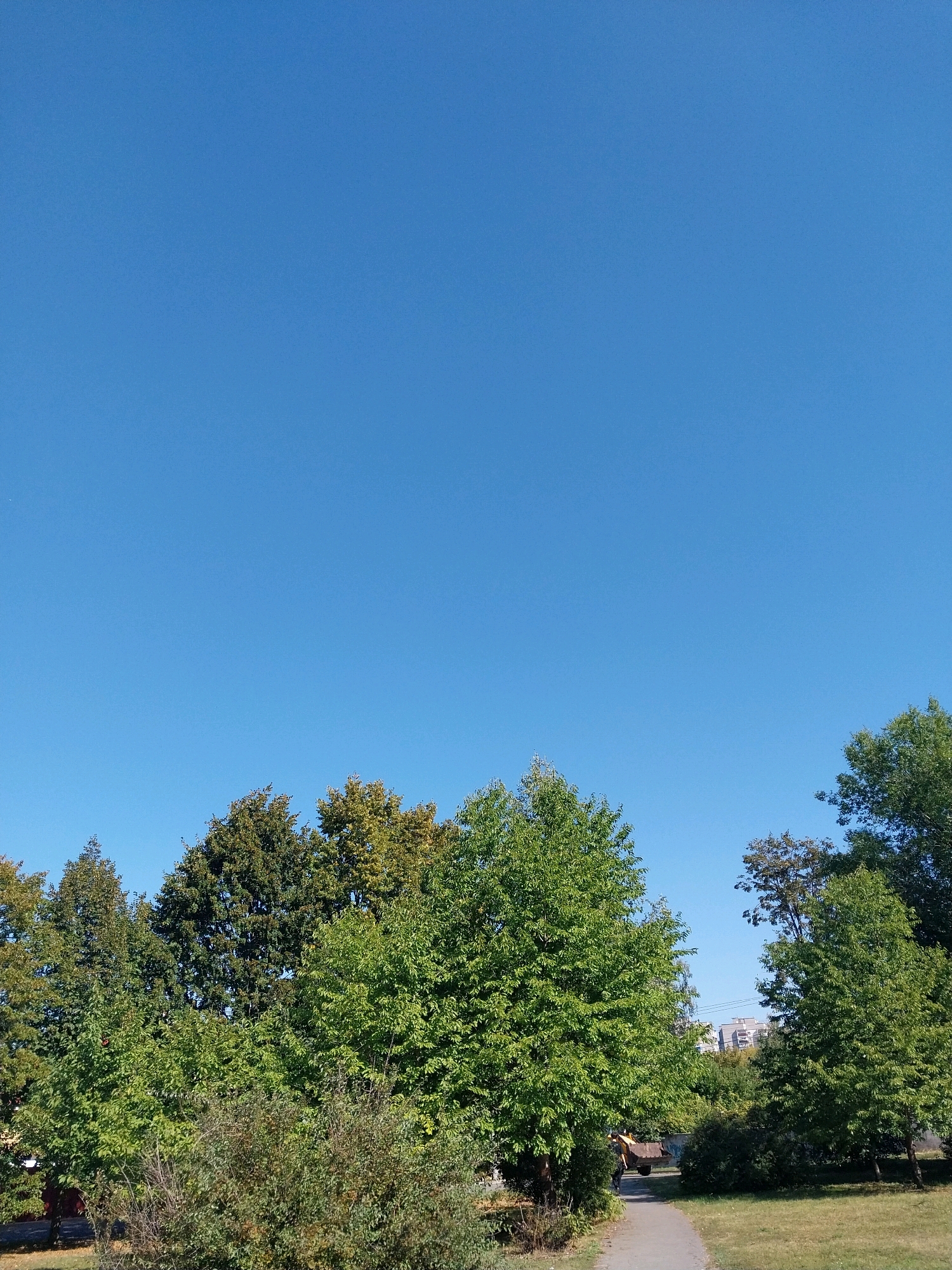 The image captures a bright, clear day in Doslidne, Ukraine, dominated by a vast expanse of vibrant blue sky. The lower portion of the frame is filled with lush green trees and foliage, suggesting a park or a tree-lined area within the city. A paved pathway curves through the grassy foreground, hinting at a recreational space. In the background, several multi-story buildings can be seen, indicating the presence of a residential or urban setting. The overall scene is serene and natural, with a touch of urban infrastructure visible.