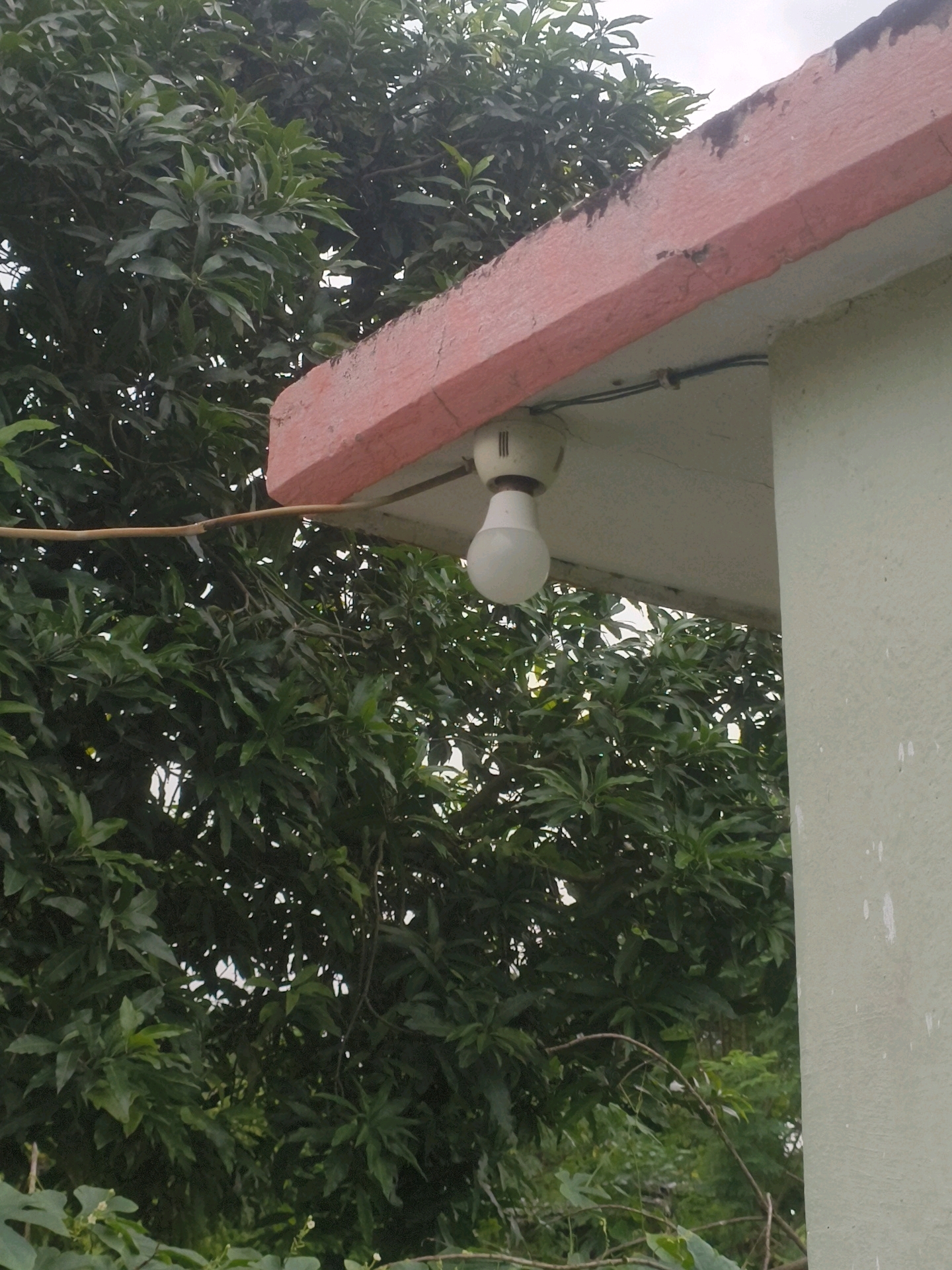 A bright white LED bulb hangs from a light fixture mounted under a reddish-brown, slightly worn overhang. The overhang, likely part of a building's exterior, shows some signs of weathering and has a power cable running along its underside, attached by small white clips. Behind the building structure, lush green foliage from trees dominates the background. The leaves are dense and varied in size and shape, suggesting a tropical or subtropical environment. The overall scene appears to be outdoors, possibly in a residential or semi-rural area of Khillupur, India, given the presence of a typical outdoor light fixture and abundant vegetation. The sky is overcast, providing diffused light.