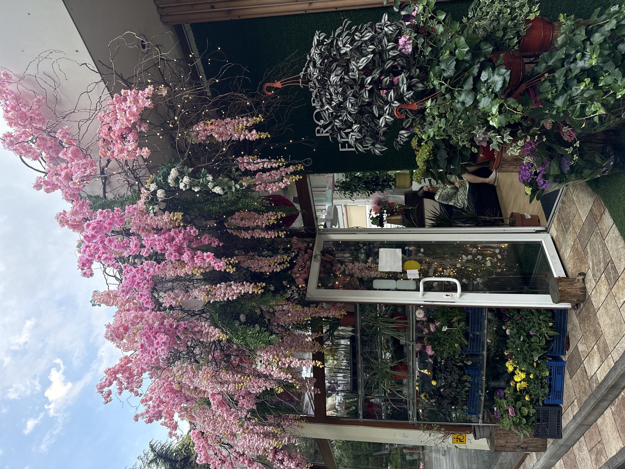 The image depicts a flower shop entrance on a cloudy day, located in the city of Sochi, Russia. The facade is adorned with abundant artificial pink and yellow wisteria-like flowers cascading from above, intertwined with branches and small fairy lights. The entrance features a glass door with a white handle, flanked by large display windows. Inside, shelves are filled with various potted plants and flowers.
To the right of the entrance, a dark green, artificial grass-covered wall is visible, with the partially obscured text "RO F" in white lettering. A large hanging plant with dark purple and green leaves, and red plastic hangers, is positioned in front of this wall.
In front of the shop, to the left of the entrance, are stacked blue crates filled with potted flowers in shades of pink, yellow, and purple. A wooden log serves as a decorative element near the entrance. Further to the left, a small gray pot with a plant sits on a larger wooden stump, next to a yellow and black accessibility sign.
Through the glass door and windows, a woman in a green and white patterned dress is seated inside the shop, looking to her right. The pavement in front of the shop is paved with patterned tiles. The overall impression is of a vibrant and welcoming floral establishment.