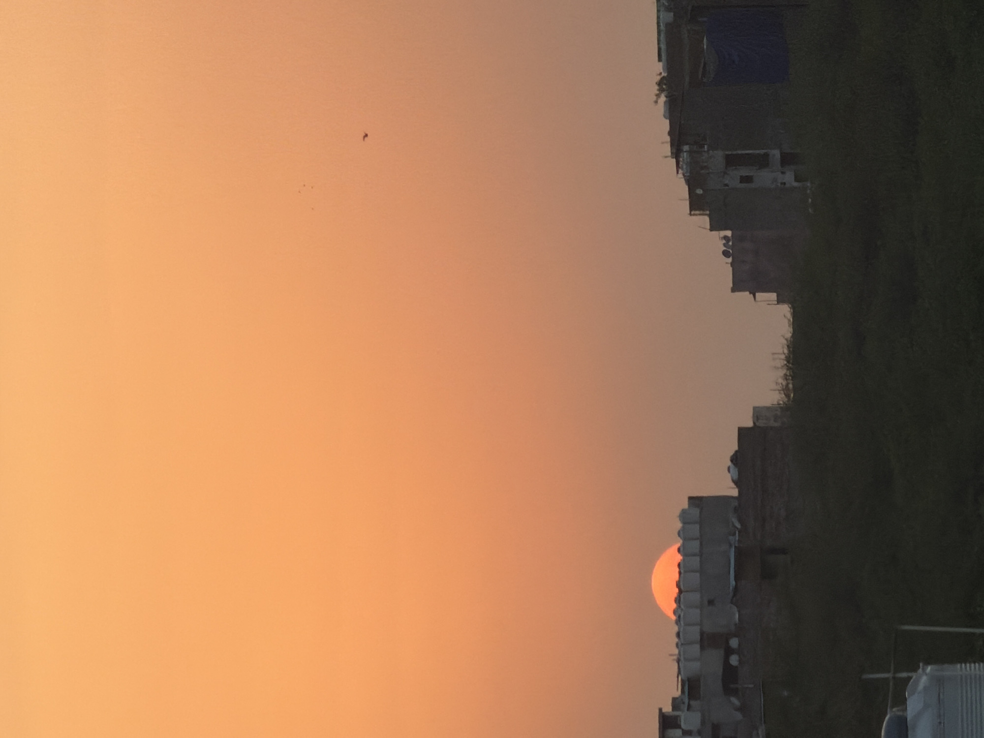 The image captures a sunset over a residential area in Delhi, India. The sun, a vibrant orange semicircle, is partially obscured by the rooftops of buildings. The sky is a gradient of warm orange and yellow hues, characteristic of a sunset. In the foreground, silhouetted against the bright sky, are several multi-story buildings with varied architectural styles. Some structures appear to be under construction or in a state of disrepair, with exposed bricks and incomplete facades. A blue tarp is visible on one building. Dense, dark green foliage covers the lower portion of the image, suggesting a natural or semi-wild area adjacent to the urban development. A few small, dark specks in the sky may be birds. A white water tank and metal framework are partially visible in the bottom left corner, indicating urban infrastructure. The overall impression is one of a typical urban sunset scene in Delhi, blending natural light with man-made structures.