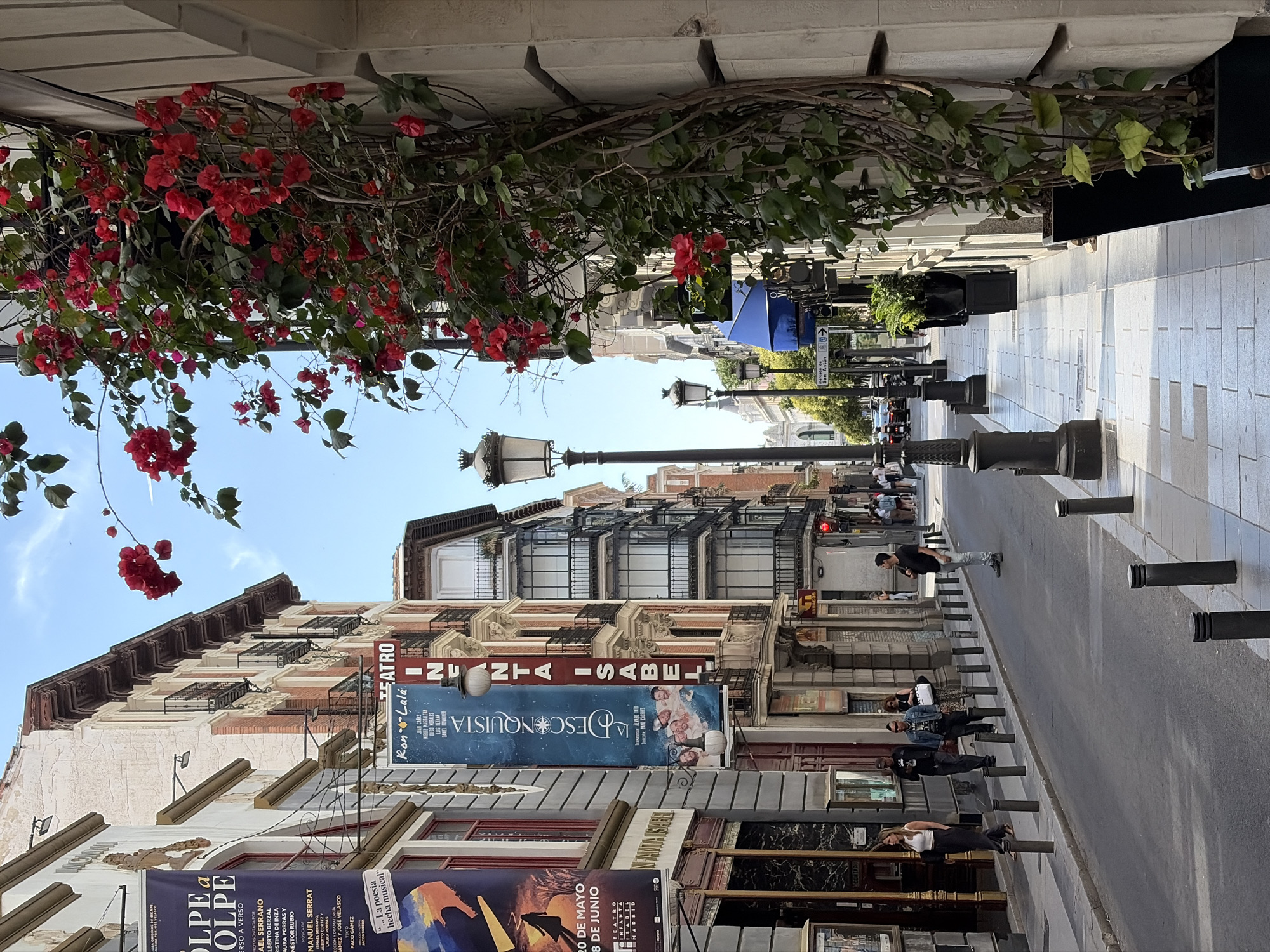 The image shows a street view in Madrid, Spain, angled to the side. Hanging from the roof are red and green flowering vines that frame the shot. The street is paved with gray stone tiles. There are black bollards evenly spaced on both sides of the street. On the right side, people are walking and some are seated. On the left side of the street, buildings with ornate facades are visible. Banners advertising theater productions hang from the buildings; one promotes "La Desconquista" and another "Golpe a Golpe." Signs indicating the "Teatro Infanta Isabel" are also visible. A lamppost and traffic light are seen further down the street. The sky is blue and clear.