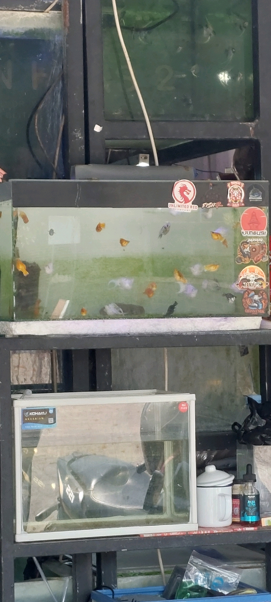 The image shows two aquariums on shelves. The top aquarium is filled with water and contains several small fish, some of which are orange and white. There are also decorative stickers on the exterior of this aquarium. The bottom aquarium is also filled with water and appears to contain a dark-colored object, possibly a submerged decoration or a very dark fish, along with some visible fish food. To the right of the bottom aquarium, there is a white mug with a lid, a small bottle of liquid with a blue label, and some plastic bags. The aquariums are supported by dark metal shelving units. The environment appears to be indoors, possibly a shop or market.