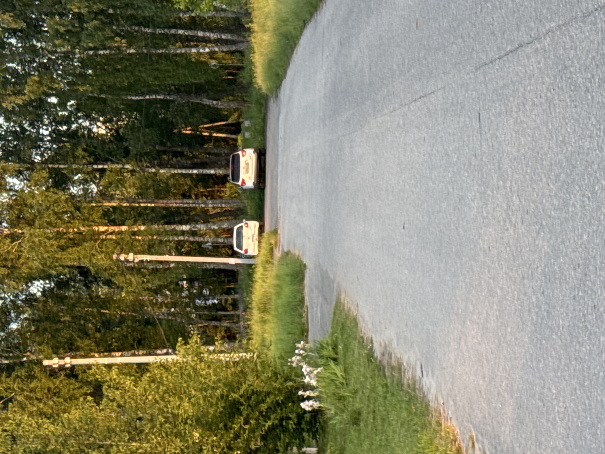 The image depicts a rural road with two white cars parked on the right side, facing away from the camera, amidst a backdrop of tall birch trees. The road surface is asphalt with visible cracks. On the left side of the road, there is a grassy verge with some white flowers. Two tall, slender utility poles with multiple lights are visible on the left side of the road, near the edge of the treeline. The scene is illuminated by what appears to be late afternoon sunlight, casting long shadows and highlighting the green foliage. The overall impression is of a quiet, semi-natural environment on the outskirts of a settlement. This scene is consistent with the appearance of areas in the village of Krasnye Baki, Russia.
