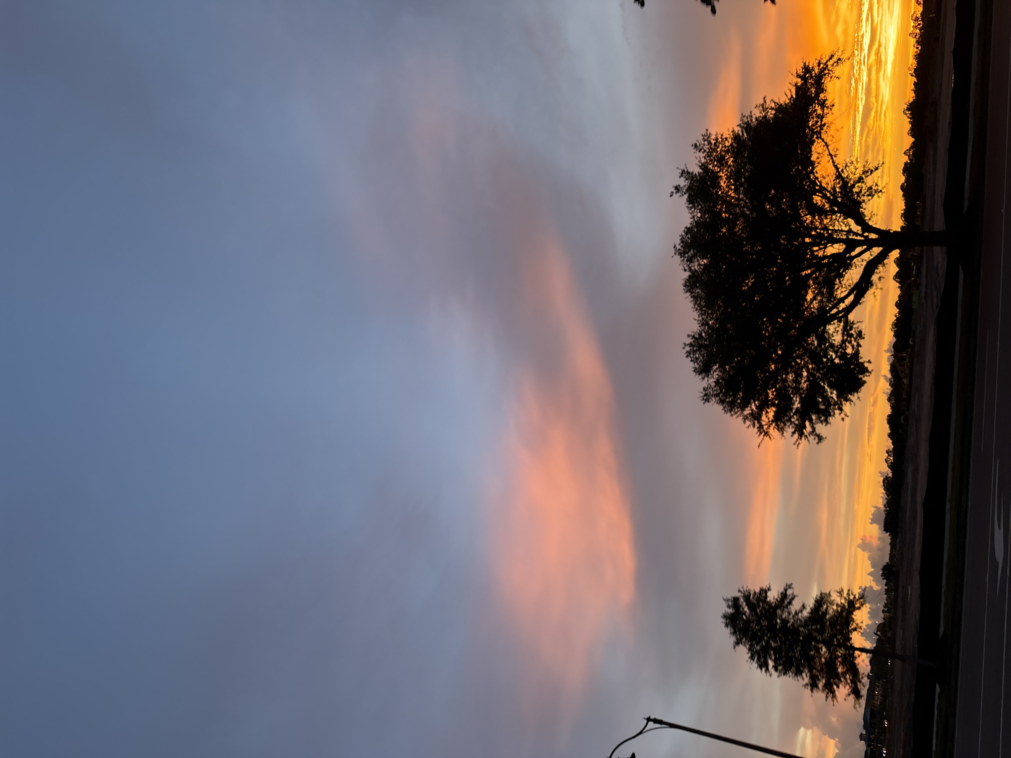 A sunset is visible in the city of North Port, United States of America. The sky displays a gradient of colors, transitioning from a pale blue at the top to hues of orange and yellow near the horizon. Clouds are scattered throughout the sky, some illuminated by the setting sun with shades of pink and orange. In the foreground, silhouetted trees stand out against the vibrant sky, with one large, bushy tree dominating the center-right of the frame, and a smaller, thinner tree to its left. A street light pole is visible on the far left. Below the sky, the landscape is dark and indistinct, suggesting a silhouette of the ground, possibly with distant buildings or structures. A road with lane markings is visible in the bottom portion of the image.
