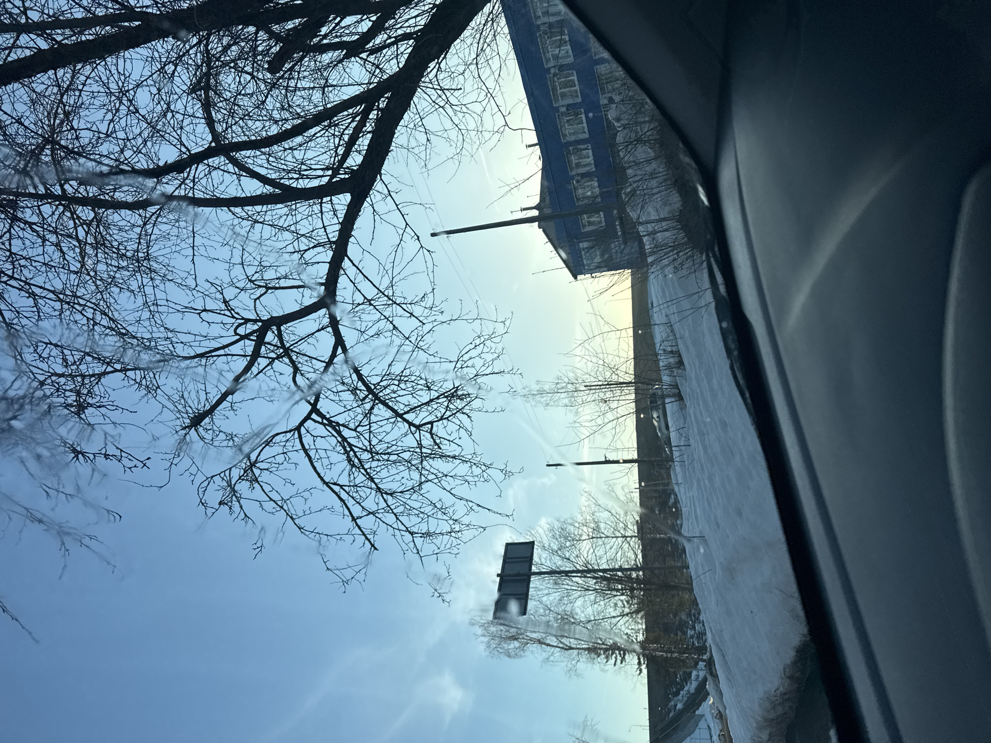 The image shows a view from inside a vehicle in Chaikovsky, Russia. A bare tree with icicles on its branches fills the left side of the frame, partially obscuring the light blue sky. A blue, multi-story building is visible in the distance, along with utility poles. A snow-covered landscape stretches along the right side of the image, with a road sign partially visible. The interior of the vehicle occupies a significant portion of the right side of the frame. There are no people visible. The scene suggests a winter day in an urban environment.
