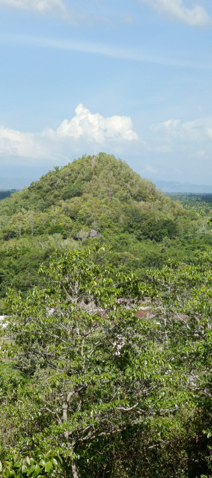The image shows a conical, heavily wooded hill, likely in or around Geundring, Indonesia, under a bright blue sky with scattered white clouds. The foreground is dominated by the lush green foliage of trees, obscuring some structures. The hill itself is covered in a dense canopy of varied green trees, with some lighter-colored patches and rocks visible on its slopes. A thin, white pole or antenna is visible near the summit of the hill. In the mid-ground, beyond the hill, a hazy, distant landscape of further greenery extends to the horizon. The overall impression is of a tropical, verdant environment with a prominent natural landmark.