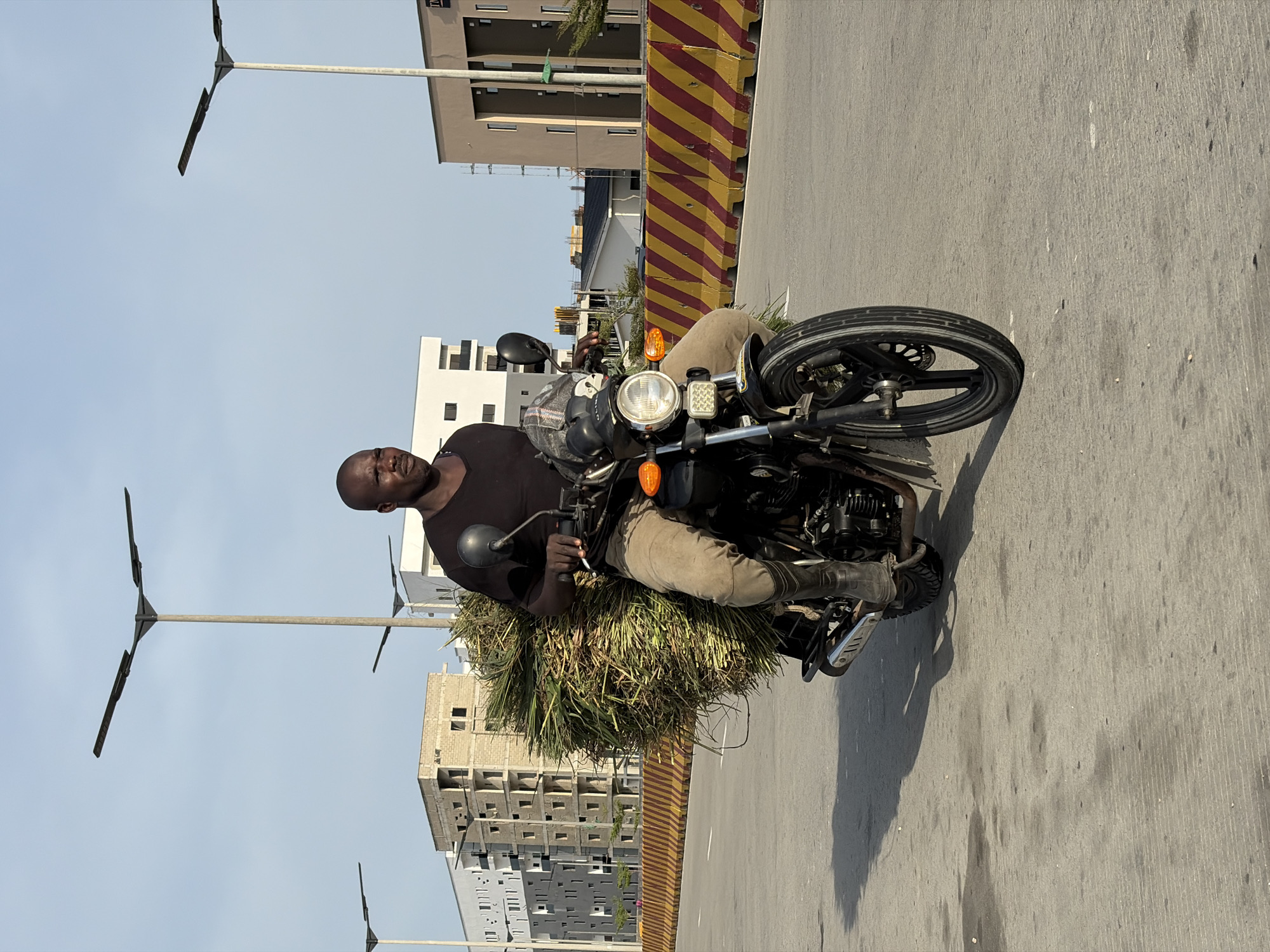 A man is sitting on a motorcycle on a paved road in Alaguntan, Nigeria. He is wearing a black shirt and khaki pants and boots. He has a large bundle of green grass or vegetation tied behind him on the motorcycle. The motorcycle is black and appears to be a utility-type bike. In the background are several buildings, including some that look like residential apartments and commercial buildings. There are streetlights visible along the road. A striped yellow and red barrier is on the right side of the road. The sky is light blue and clear. The scene appears to be a normal day.