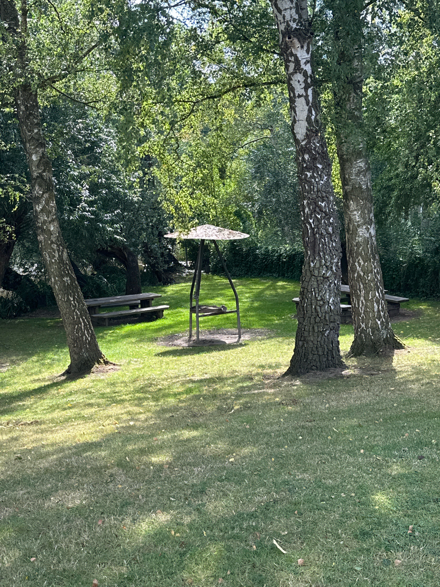 In a sun-dappled park area in Samtgemeinde Thedinghausen, Germany, two picnic benches and a metal barbecue stand with a roof are situated on a grassy lawn. Tall trees with textured bark, likely birch trees, dominate the background and frame the scene. Lush green foliage from the trees creates a canopy overhead, with sunlight filtering through to illuminate the ground. The park appears tranquil and natural, with no people or animals visible in the frame. The overall impression is one of a serene outdoor recreational space.
