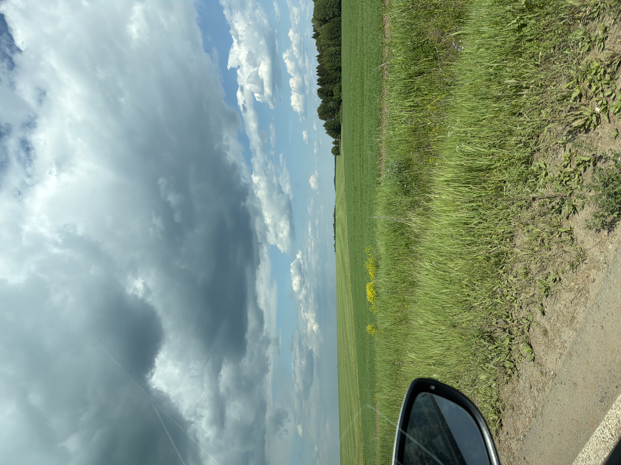 The image depicts a rural landscape with a focus on a vast green field under a dramatic, cloudy sky. In the foreground, the left side of a car's rearview mirror is visible, reflecting the sky. The terrain transitions from a dirt and gravel roadside with sparse vegetation to a dense, tall green grass field. Further into the scene, the field becomes a neatly cultivated expanse of lighter green crops, suggesting agricultural land. Small clusters of yellow wildflowers dot the field. In the distance, a dark green line of trees forms the horizon on the right, with a faint treeline also visible on the far left horizon. The sky is characterized by large, dark gray storm clouds interspersed with patches of bright blue sky and white cumulus clouds. There are no people or animals visible in the frame. The image appears to be taken from a moving vehicle traveling along a roadside adjacent to agricultural fields.