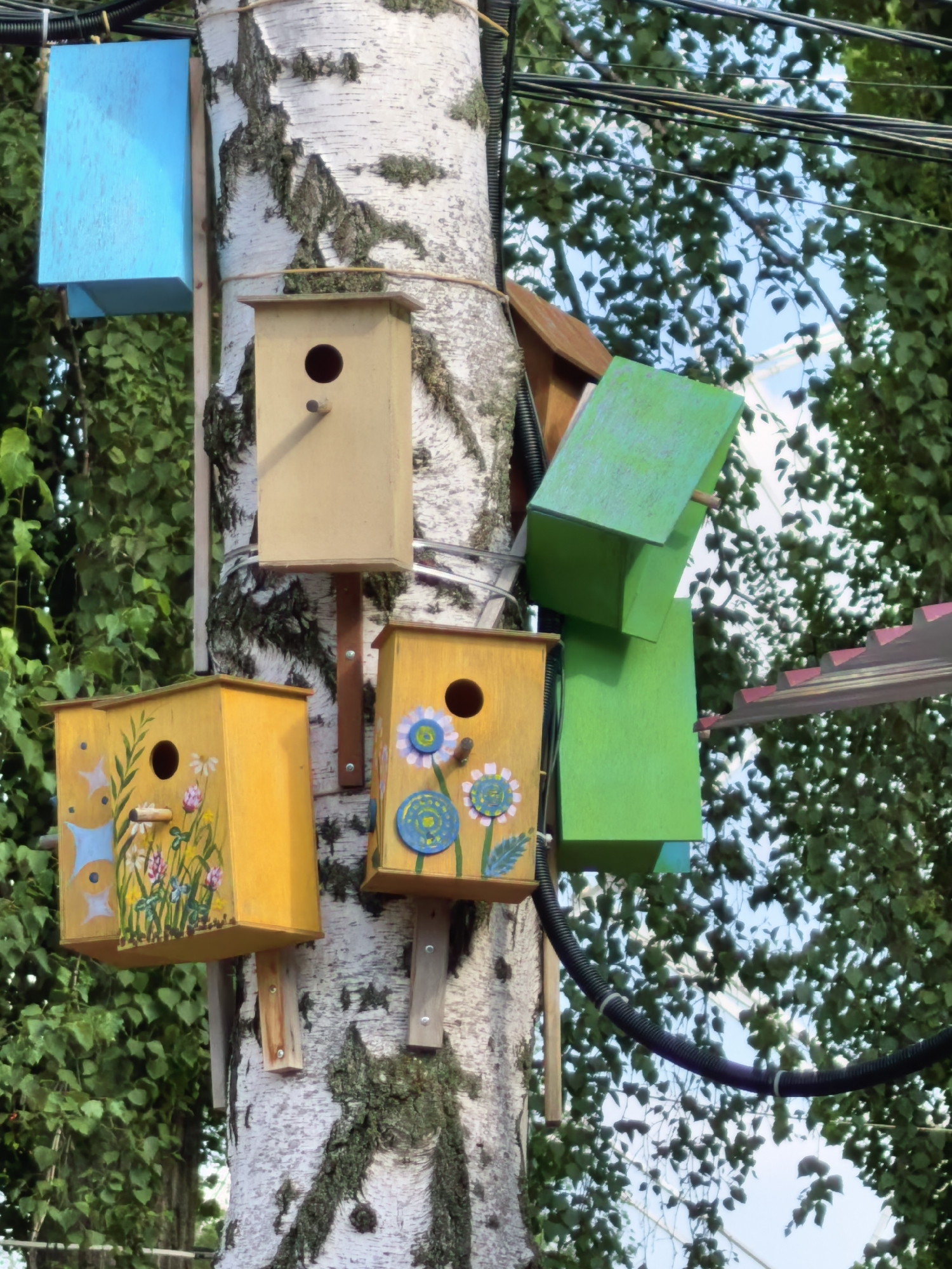 The image displays a collection of birdhouses attached to a birch tree. The birdhouses are painted in various colors, including blue, yellow, and green. Some of the yellow birdhouses are decorated with painted flowers and designs. The tree is positioned outdoors, amidst foliage, and electrical wires are visible overhead, suggesting an urban or suburban environment. There is no indication of the specific location within the city of Sterlitamak, Russia. No people are present in the image.