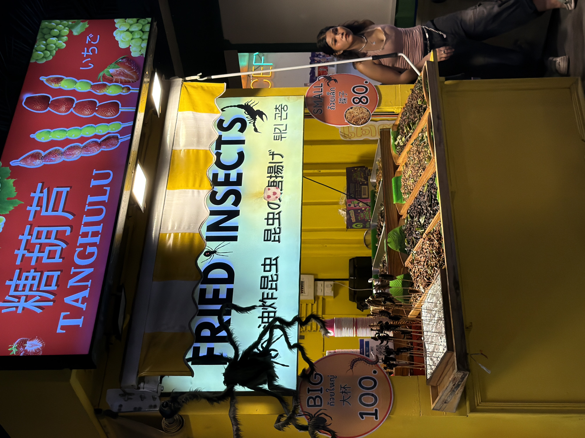 A street food stall in Bangkok, Thailand, displays a variety of fried insects for sale. The stall has a bright yellow exterior with a striped yellow and white awning. Above the stall, a large, illuminated sign in blue characters reads "TANGHULU" and "FRIED INSECTS." The sign also features images of strawberries and grapes, along with Chinese and Japanese text.
In front of the stall, several trays are filled with different types of fried insects, including grasshoppers, crickets, and what appear to be scorpions. Some insects are skewered on sticks, resembling lollipops. Two circular price signs are visible: "BIG" with a price of "100." and "SMALL" with a price of "80." A young woman stands to the right of the stall, holding a white pole, and appears to be an employee or vendor. Large, black, fuzzy spider decorations are attached to the stall, adding to the unusual and slightly unsettling theme. The overall atmosphere suggests a lively night market scene in Bangkok.