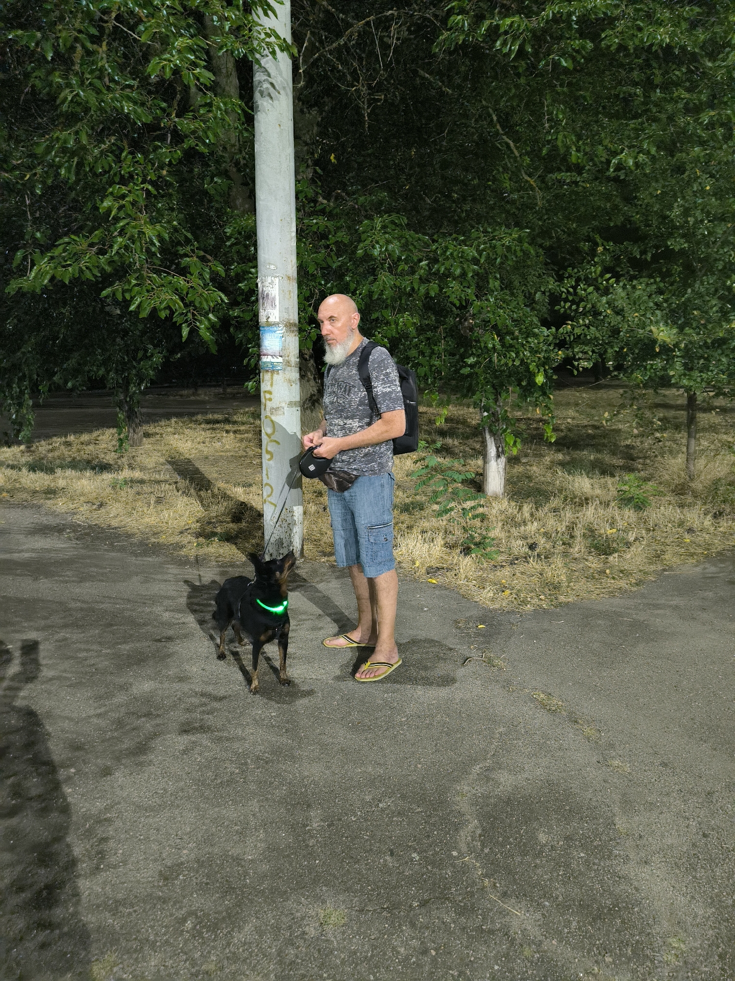 A bald man with a white beard stands on a paved surface next to a concrete pole. He is wearing a grey t-shirt, denim shorts, and yellow flip-flops. A black backpack is on his back. He is holding a black leash attached to a small black dog. The dog is wearing a green glowing collar. The man and dog are positioned outdoors with trees and dry grass in the background. The scene appears to be a park or sidewalk area in Mykolaiv, Ukraine, as indicated by the context.