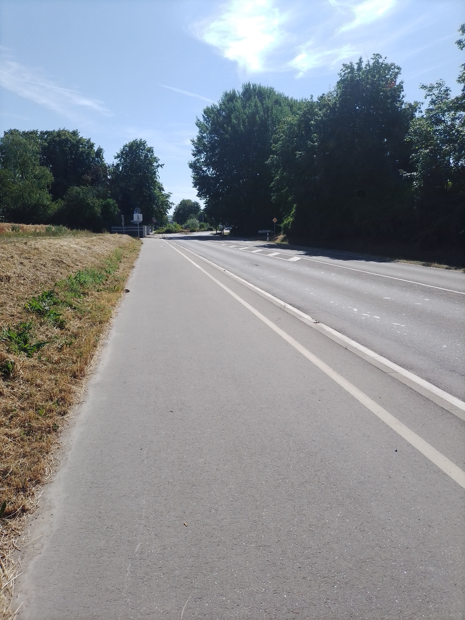 The image depicts a paved bicycle path running alongside a two-lane asphalt road. The road is bordered by a white line on the right and a white dashed line separating the lanes. On the left side of the road, a dry, grassy embankment slopes upwards, transitioning to a dense line of dark green trees that form a backdrop. The sky is bright blue with scattered, wispy white clouds. Several road signs are visible: a circular sign with a red border on a pole near the embankment, and a diamond-shaped yellow sign with a black border on the right side of the road. The overall scene appears to be a rural or suburban setting on a sunny day. The location is identified as Sprendlingen, Germany.