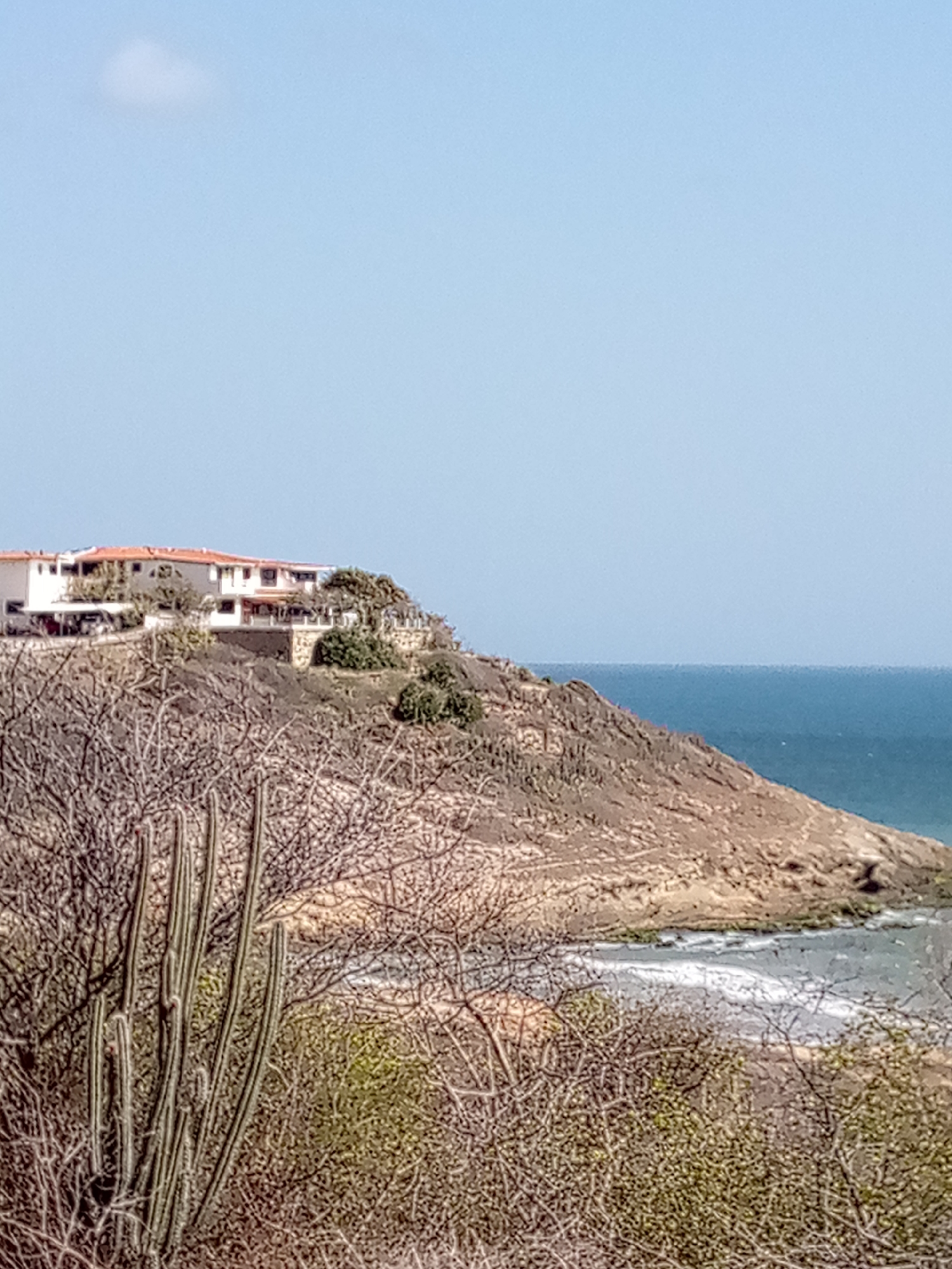 The image shows a view of a coastline in Juan Griego, Venezuela. A large house with an orange roof sits atop a rocky, brown promontory that extends out into the ocean. The promontory is sparsely vegetated with shrubs, cacti, and bare, tangled branches in the foreground. A small beach with gentle waves is visible below the promontory. In the distance, the blue ocean stretches out to the horizon under a light blue sky with a small cloud.