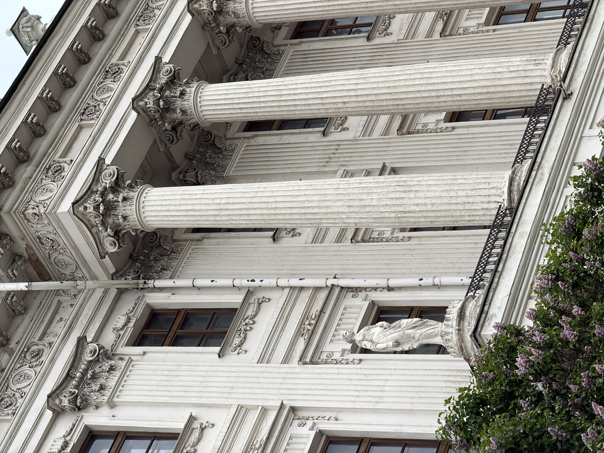 The image shows a fragment of the facade of a building, likely located in Moscow, Russia, given the architectural style. The building is white and ornamented with classical architectural elements, including Corinthian columns, moldings, and window embellishments. The columns are horizontal and run parallel to the building. The columns are adorned with decorative capitals and fluted shafts. Between the columns are rectangular windows with dark frames. Below the columns, the facade is decorated with intricate details, including relief sculptures. A black, decorative railing runs along the edge of one of the building's levels. The right side of the image shows a tree with green leaves and purple flowers. The overall impression is of a grand and historically significant building, likely located in an urban setting.