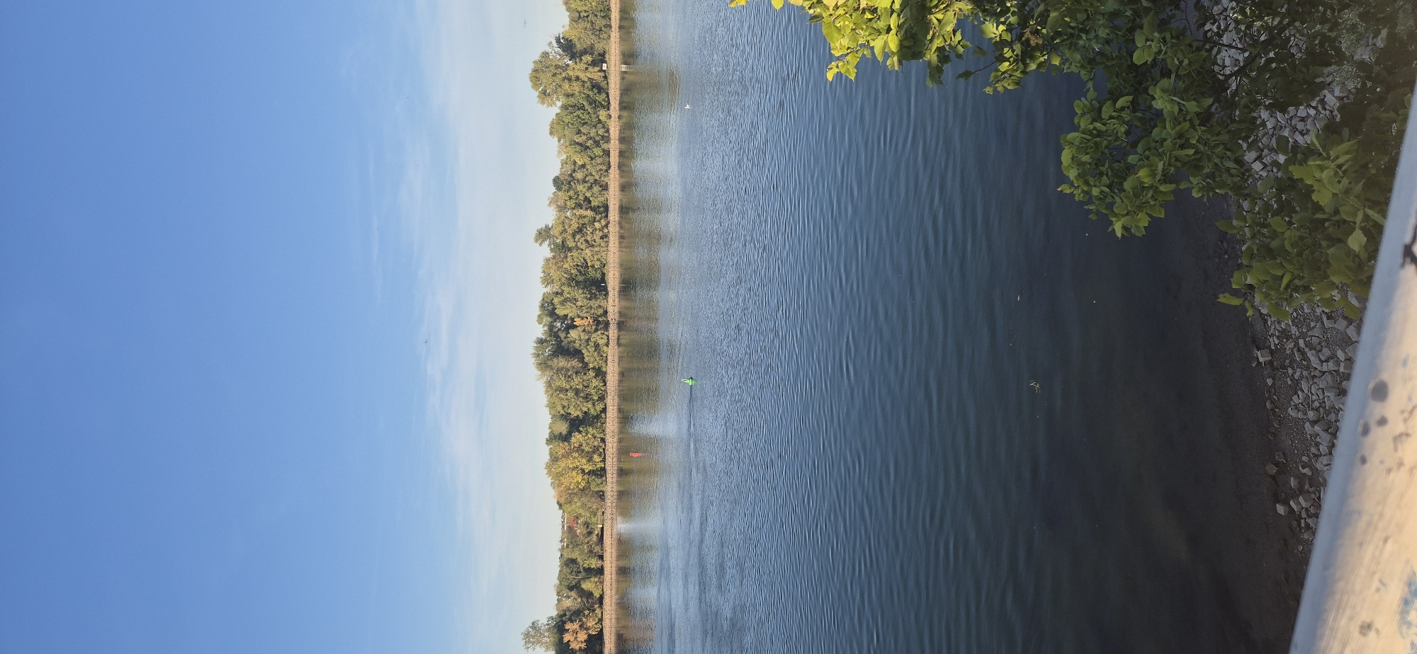 A wide, placid river dominates the foreground of this vertical, landscape-oriented photograph. The water is a deep blue, reflecting the clear, bright sky above, with subtle ripple patterns creating horizontal lines. On the far bank, a dense line of trees forms a natural barrier, their foliage showing hints of autumn color with patches of yellow and orange interspersed with green. The trees are set against a pale blue sky with a few wispy clouds near the horizon.
Two buoys are visible in the river; one is a vibrant green, and the other, further to the left, is red. A single white bird is perched on the water. The riverbank on the far side is reinforced with a visible line of rocks. The immediate foreground on the right edge of the frame is occupied by lush green foliage, suggesting it's part of a tree or bush growing close to the viewer. The bottom left of the image shows a rocky shoreline and a portion of what appears to be a railing, possibly part of a bridge or walkway, with reflections of the sky and trees on its surface.
The image captures a serene natural scene along the Rhine River in Mainz, Germany.
