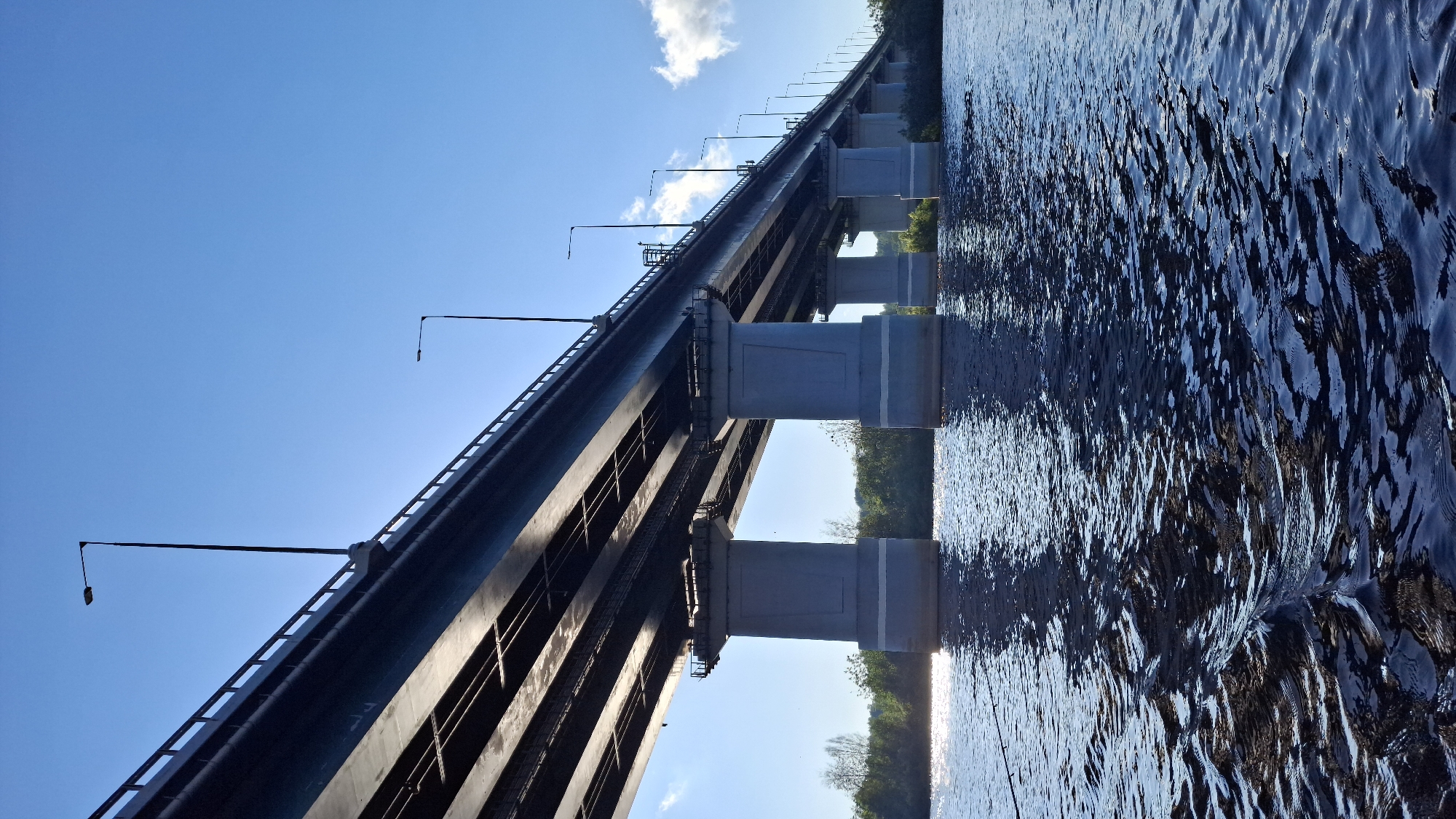 The image depicts a multi-span bridge extending diagonally from the lower left towards the upper right across a body of dark blue, rippled water, likely in Sitno, Russia. The bridge superstructure appears dark gray or black, supported by multiple light gray concrete piers that are visible in the water. A light-colored railing runs along the visible side of the bridge deck, and numerous tall, black streetlights with rectangular luminaires are mounted at regular intervals along its length. The underside of the bridge deck shows structural beams and shadows.
The water surface exhibits strong ripples, with patches of bright sunlight reflecting off it, particularly towards the left mid-ground, indicating a direct light source (sun) from the left. Reflections of the bridge piers and the dark underside of the bridge are visible in the water. Distant riverbanks are lined with dense green deciduous vegetation. The sky is largely clear and a bright blue, with a few small, scattered white cumulus clouds visible in the upper right quadrant. No people or vehicles are visible on or near the bridge. A thin, dark rod-like object, possibly a fishing rod, is partially visible extending over the water from the lower left edge of the frame.
