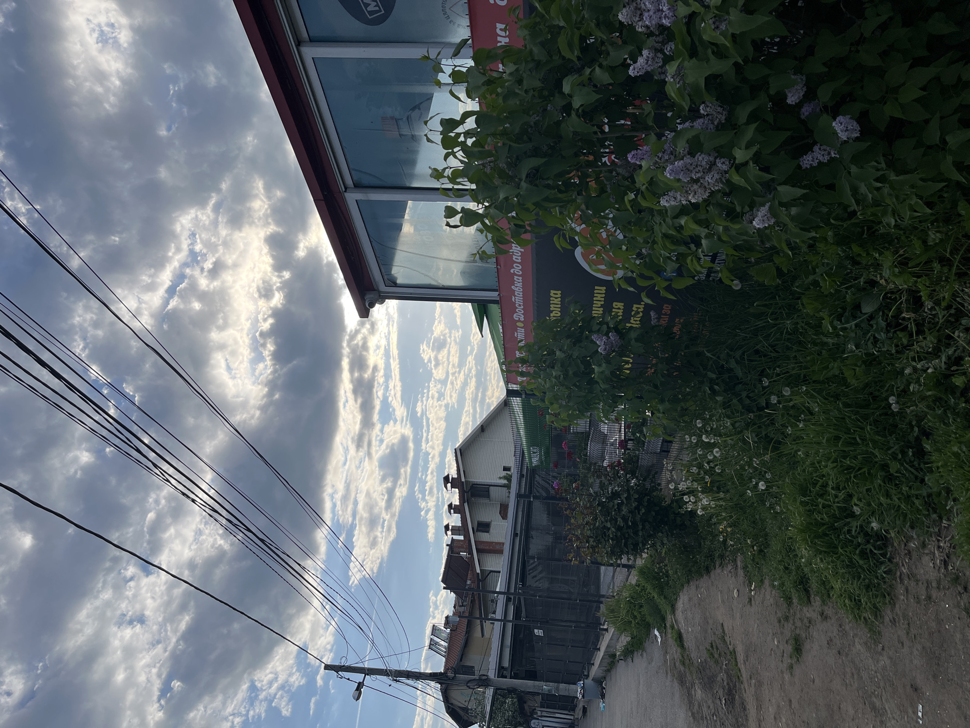 Captured from a slightly angled, low vantage point in Sofia, Bulgaria, the photograph presents an urban scene under a sky patterned with fluffy clouds. The shot includes buildings, greenery, and utility infrastructure, specifically power lines against the backdrop of the sky.
To the left of the frame, electrical wires stretch across the sky. Adjacent to the wires is a building front with a red trim, featuring a sign printed in Cyrillic script, partially obscured by foliage. The adjacent shrubbery includes lilac bushes.
In the distance, a house with multiple chimneys is visible. A gray path stretches through the scene, with overgrown grass and dandelions on the right. The image does not include any people.