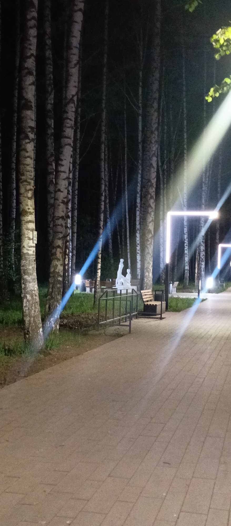 The image depicts a nighttime scene in a park or landscaped area within the city of Unknown, Unknown. The foreground features a paved walkway composed of light-colored rectangular stones. Along the left edge, there is a grassy area with several birch trees. Further into the scene, a metal railing leads to a bench and a white statue of two figures. In the background, there are more birch trees, a bench, and light fixtures shaped like open rectangles. The lighting creates strong specular highlights on the pavement.
