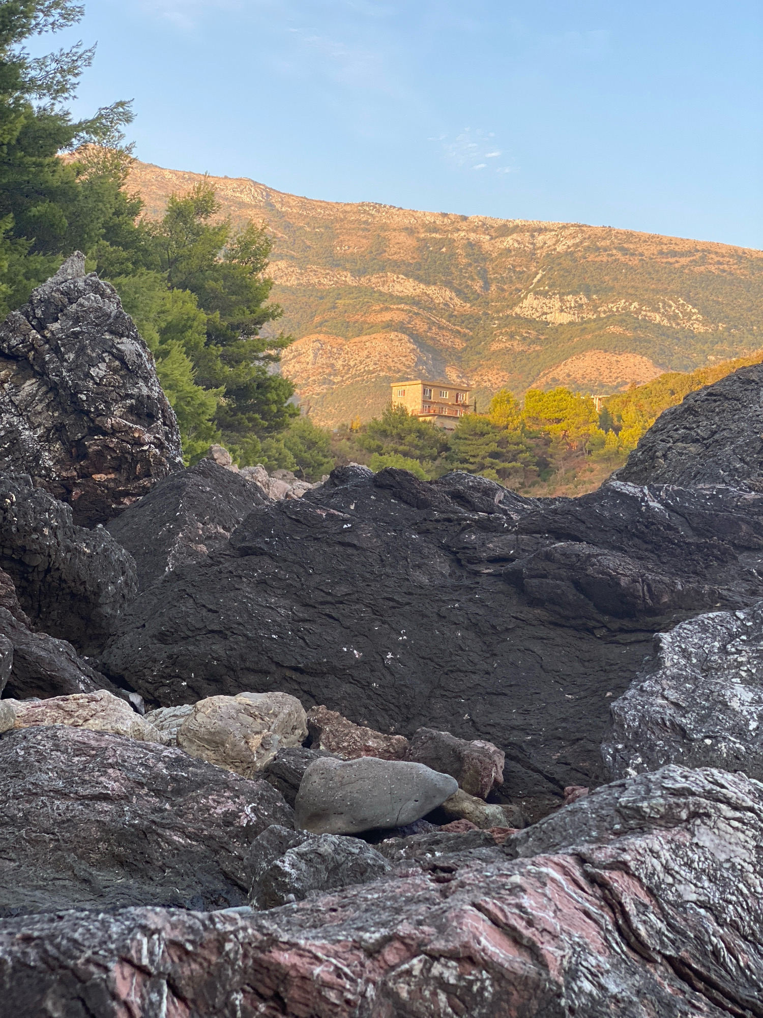 The image shows a rocky coastline with a building and mountains in the background. The foreground is dominated by large, dark, jagged rocks, some of which have pinkish hues. Behind these rocks, there are smaller, lighter-colored stones and pebbles. To the left and in the mid-ground, a dense cluster of green pine trees is visible. Beyond the trees, a light-colored, multi-story building with visible windows is nestled on the slope of a large, mountainous terrain. The mountains themselves are covered in sparse vegetation and appear illuminated by warm, golden sunlight, suggesting it might be late afternoon or early morning. The sky above is a clear, pale blue. The scene depicts a natural landscape with some human development, likely a resort or residential area, located in Sutomore, Montenegro. There are no people or animals visible in the image.