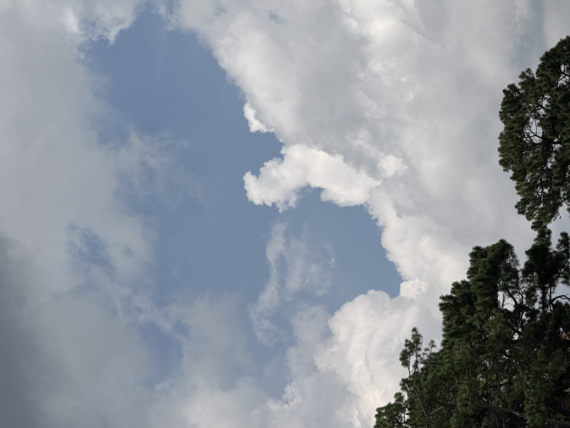 The image captures a cloudy sky with glimpses of blue peeking through. In the foreground, the tops of dark green pine trees are visible, suggesting a natural or park-like setting. The lighting indicates it is daytime. Based on the presence of pine trees and the prevalent cloudy weather, this scene could be located in areas of Da Lat, Vietnam, known for its pine forests and often overcast skies, such as Xuan Huong Lake or the surrounding hills.