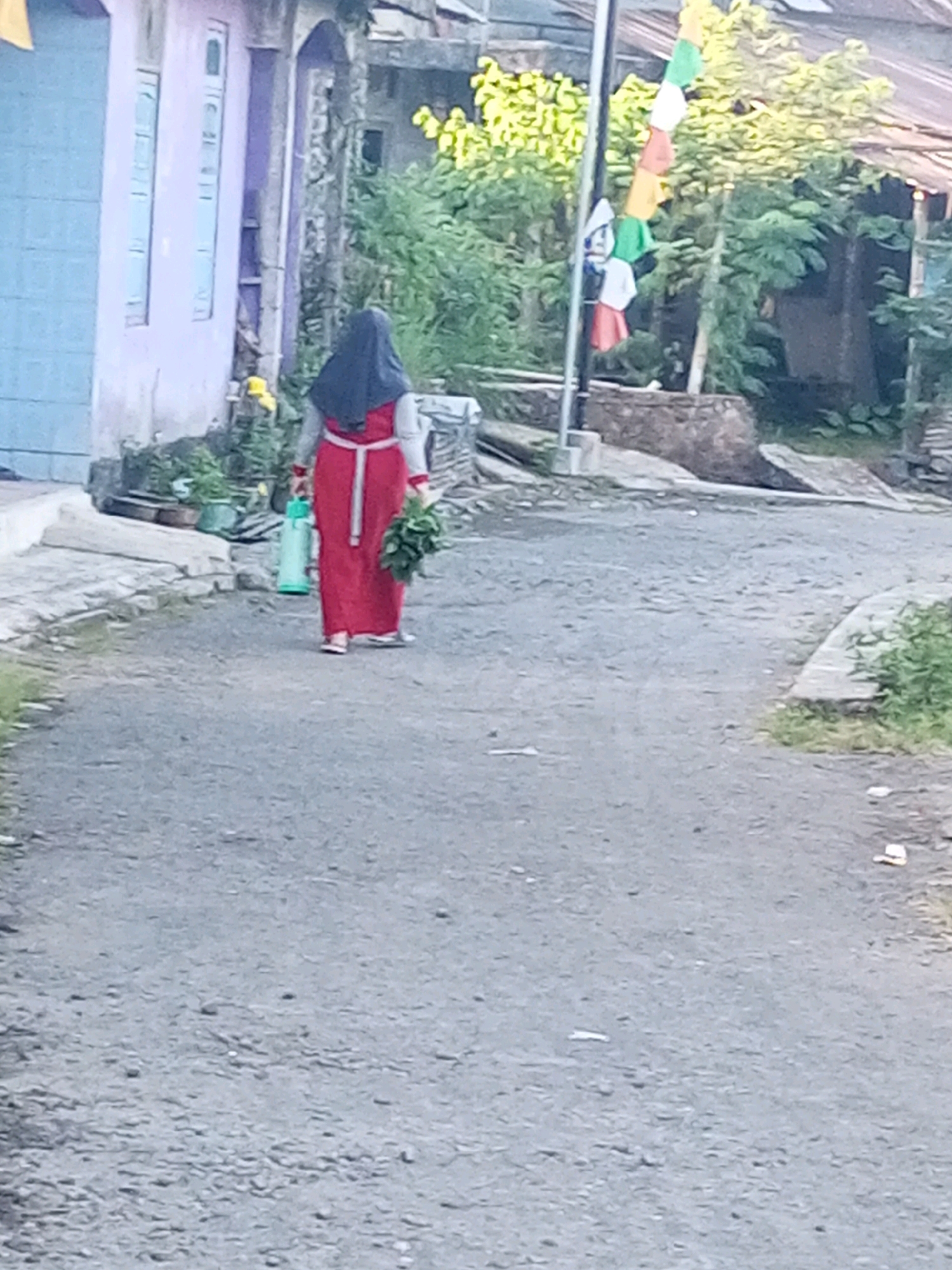 A full shot captures a person walking away from the camera on a paved road in Andongsili, Indonesia. The individual is wearing a red dress, a gray long-sleeved shirt, and a dark hijab. They are carrying a bunch of green leafy vegetables in their right hand and a green water bottle in their left. The background features a light blue building with vertical windows on the left and a stone structure with vegetation on the right. A flag with multiple colored squares hangs on a pole in the middle ground. The road surface is a mix of asphalt and gravel, with some debris scattered across it. The overall scene suggests an outdoor, rural environment.