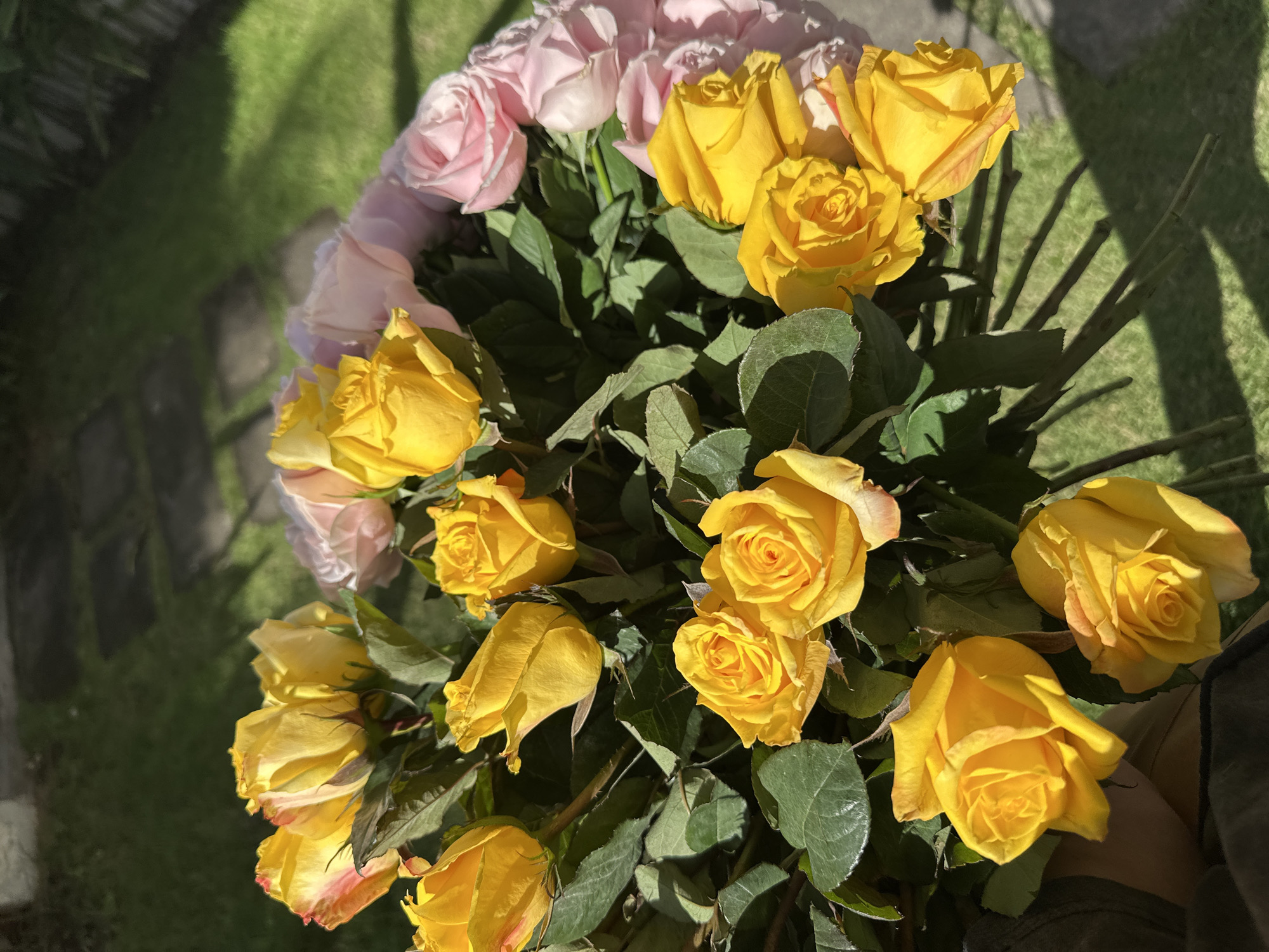 A bouquet of yellow and pink roses is pictured outdoors, with a background of green grass and a tiled pathway. The roses are arranged in a cluster, with many vibrant yellow roses in the foreground and a softer pink hue visible further back. The lighting suggests it is daytime, with sunlight casting shadows across the scene. The setting appears to be a garden or outdoor area, possibly in the city of North Kuta, Indonesia, given the visual elements of greenery and paved paths common in residential or public outdoor spaces. There are no people visibly interacting with the bouquet.
