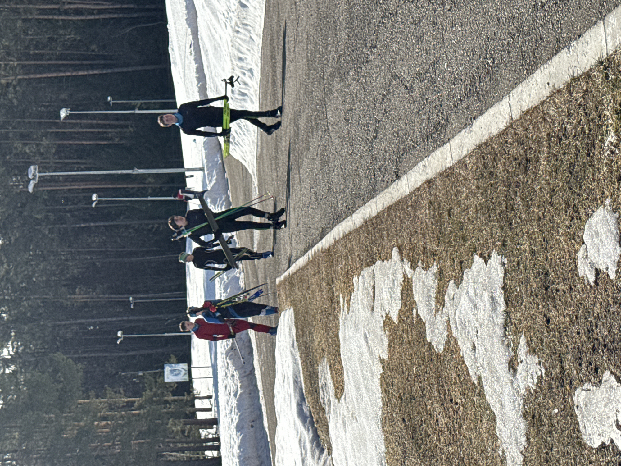 This image depicts an outdoor winter sports training area in Прикамский, Russia, under bright daylight conditions. Five individuals, appearing to be athletes, are walking in a staggered line on an asphalt road that runs from the foreground towards the background. All individuals are dressed in form-fitting athletic suits, primarily in black, blue, and red, and are carrying cross-country skis and ski poles.
From left to right:
1. An individual in a red athletic suit, partially obscured, carrying ski poles.
2. An individual in a blue and black athletic suit, carrying skis and poles.
3. An individual in a black athletic suit, carrying skis and poles.
4. An individual in a black athletic top and bottoms with green accents, carrying skis and poles.
5. An individual in a black athletic suit, carrying skis and poles.
The environment shows signs of a late winter or early spring thaw. The ground to the left of the road consists of brown, dry vegetation interspersed with irregular patches of melting snow. A white line delineates the left edge of the paved road. To the right of the road and extending into the background are significant snow accumulations, forming banks. A dense forest of tall, slender evergreen trees forms the background. Several tall poles, each equipped with multiple floodlight fixtures, are visible along the treeline and road. A white square sign with a blue emblem is visible mounted on a pole near the treeline in the far left background.
