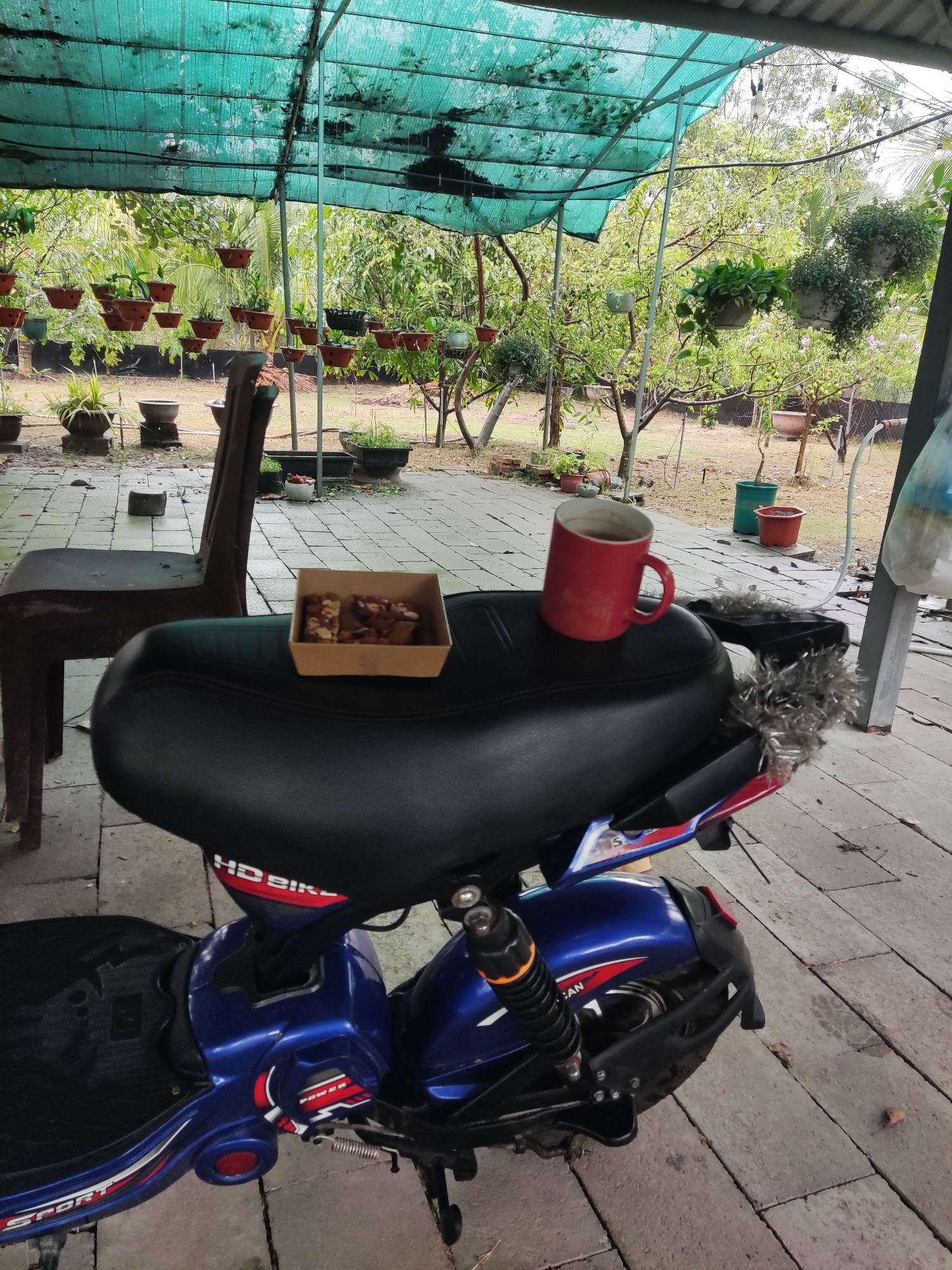 A medium shot captures a red mug and a small box of food items resting on the seat of a blue electric scooter. The scene is set outdoors under a green tarp, with a chair nearby. The environment suggests a garden or backyard. The location is Unknown, Unknown. There are no people present in the frame. The objects present include a mug, food in a box, a blue electric scooter, a chair, and potted plants in the background.