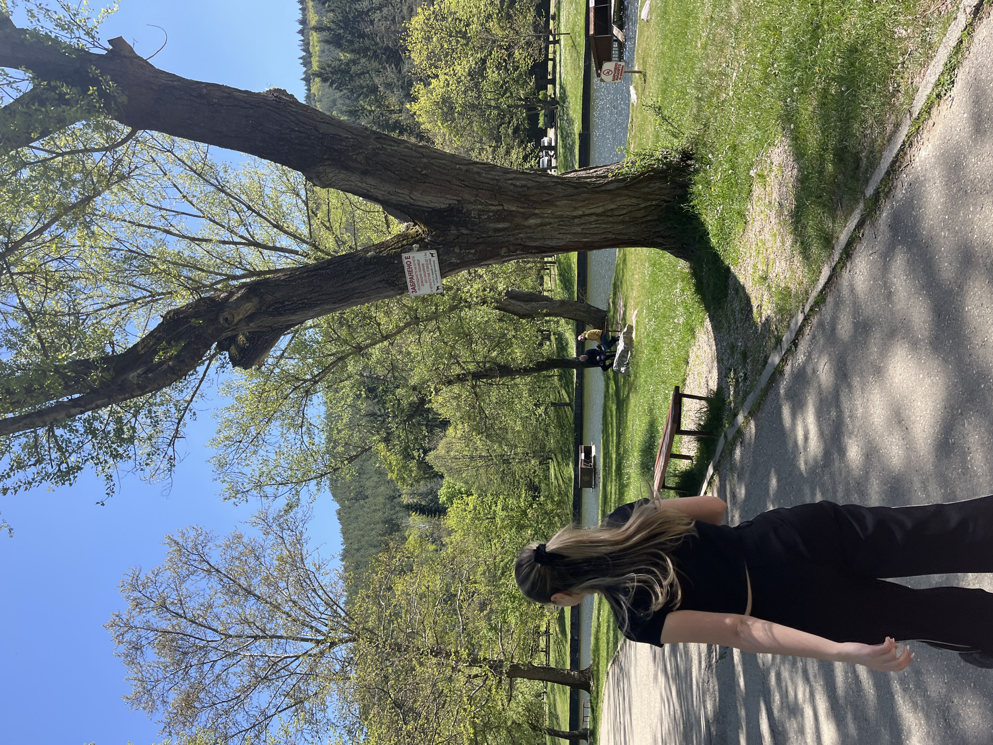 A sunny outdoor scene shows a park area in Blagoevgrad, Bulgaria. A woman with long, blonde hair pulled back in a ponytail, wearing black clothing, stands on a paved path that runs through the park. To her left, a large tree with a thick trunk and spreading branches dominates the scene. A sign is attached to the tree trunk in Bulgarian text. Behind the tree and to the left, the path leads toward a water feature, possibly a river or lake, bordered by grassy areas. Benches are placed along the path and near the water's edge. In the background, a forested hill or mountain rises behind the park, with the sky being clear and blue. In the far distance there are people sitting down.