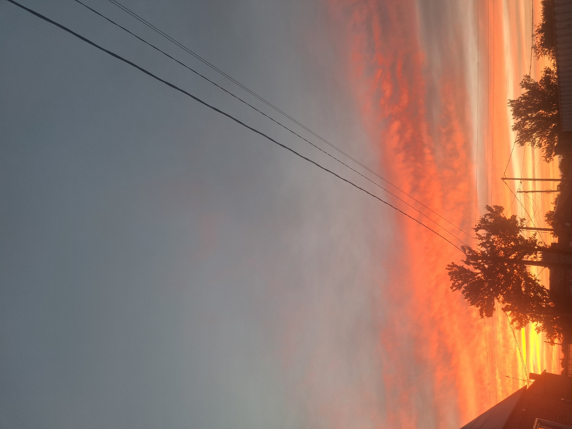 The image displays a dramatic sunset or sunrise over a rural or suburban landscape, set in what is understood to be the city of Leningradskaya, Russia. The sky dominates the frame, transitioning from a muted dark grey-blue at the top, through a gradient of lighter grey and soft pinks in the mid-section, to an intense, vibrant band of orange and red clouds occupying the lower half of the sky. These lower clouds exhibit distinct, horizontally elongated formations, particularly on the right side.
Several dark power lines diagonally traverse the upper and middle portions of the sky, originating from the upper right and descending towards the lower left. Two prominent, thicker lines are most visible, accompanied by thinner parallel and intersecting wires.
The foreground elements are presented in silhouette against the bright sky. On the far left, the dark, steeply sloped roof and a portion of the upper wall of a building are visible, with a small, lighter-toned feature, possibly a window, on its side. Central to the lower frame, a cluster of large trees with dense foliage stands in stark silhouette, partially obscuring the horizon. Interspersed among the trees are several vertical utility poles supporting additional overhead wires. A low, rectangular, lighter-toned structure, possibly a fence or building, is partially visible at the very bottom right corner. No individuals or discernible actions are present in the scene.